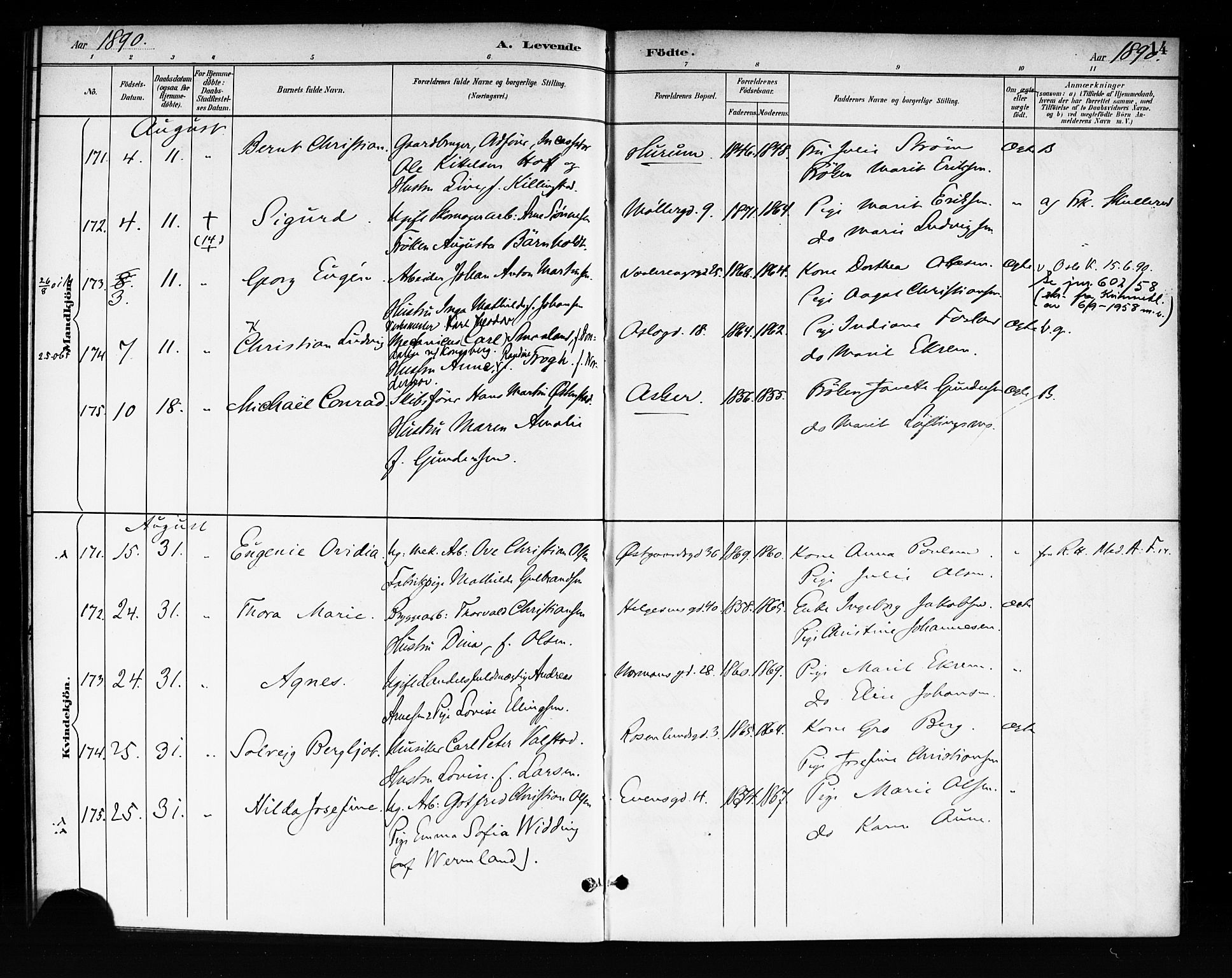 Rikshospitalet prestekontor Kirkebøker, SAO/A-10309b/F/L0008: Parish register (official) no. 8, 1890-1893, p. 14