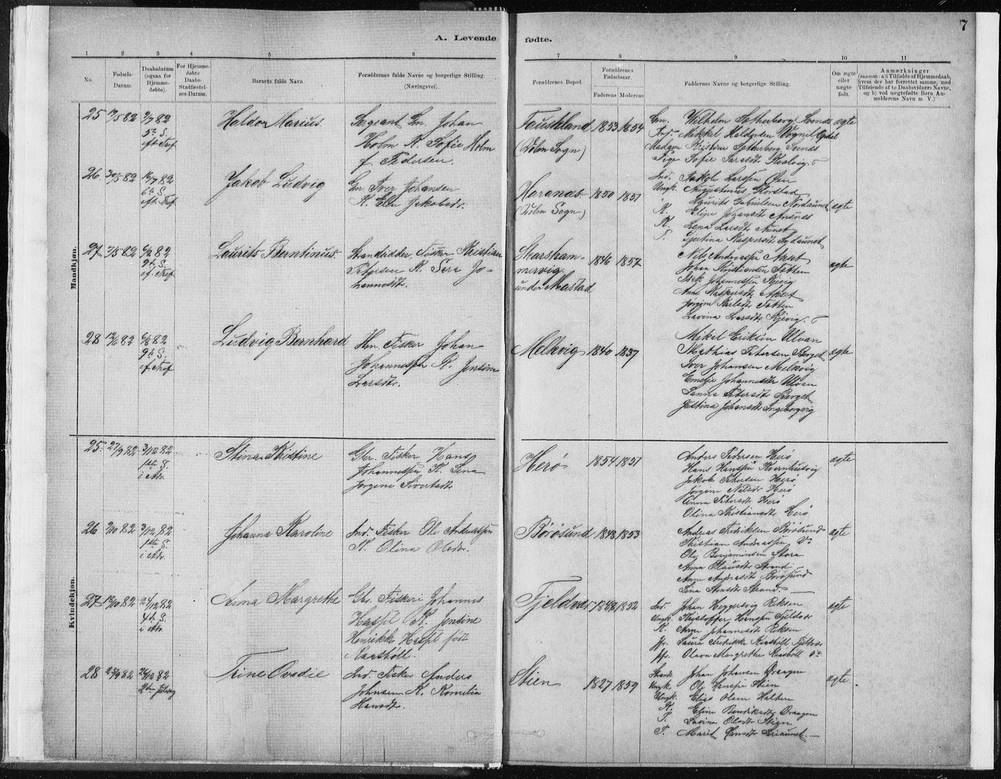 Ministerialprotokoller, klokkerbøker og fødselsregistre - Sør-Trøndelag, AV/SAT-A-1456/637/L0558: Parish register (official) no. 637A01, 1882-1899, p. 7