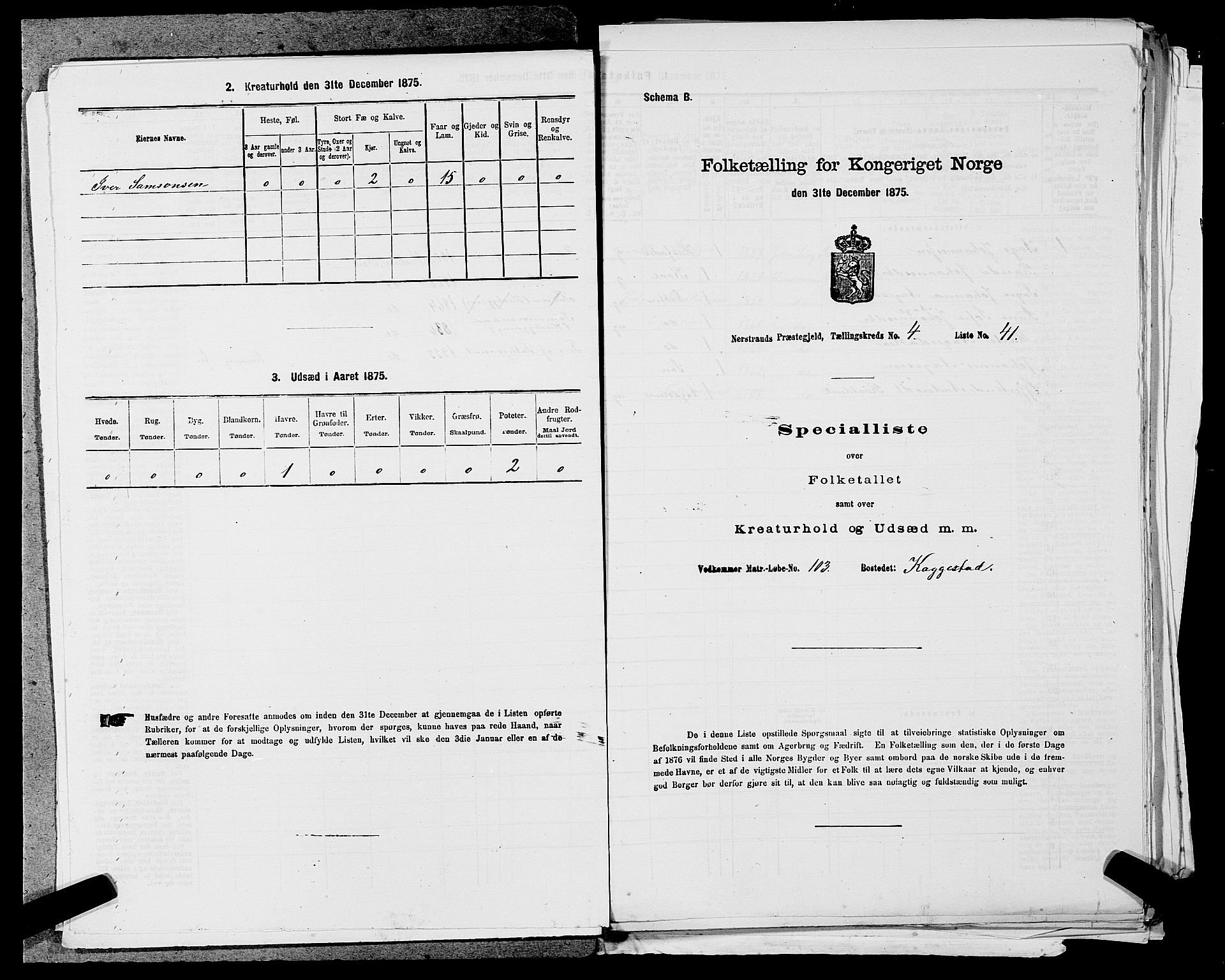 SAST, 1875 census for 1139P Nedstrand, 1875, p. 228