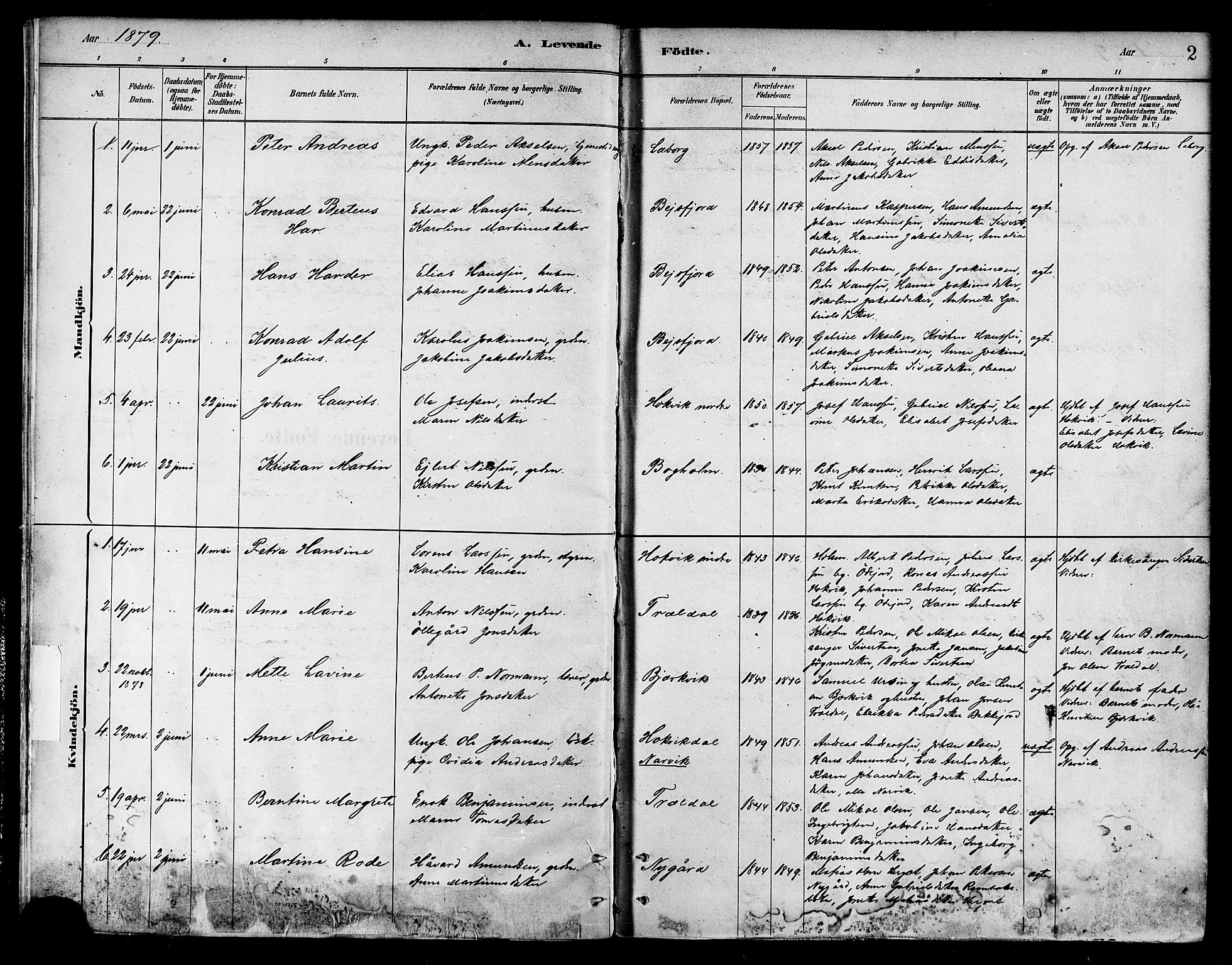 Ministerialprotokoller, klokkerbøker og fødselsregistre - Nordland, AV/SAT-A-1459/866/L0938: Parish register (official) no. 866A01, 1879-1893, p. 2