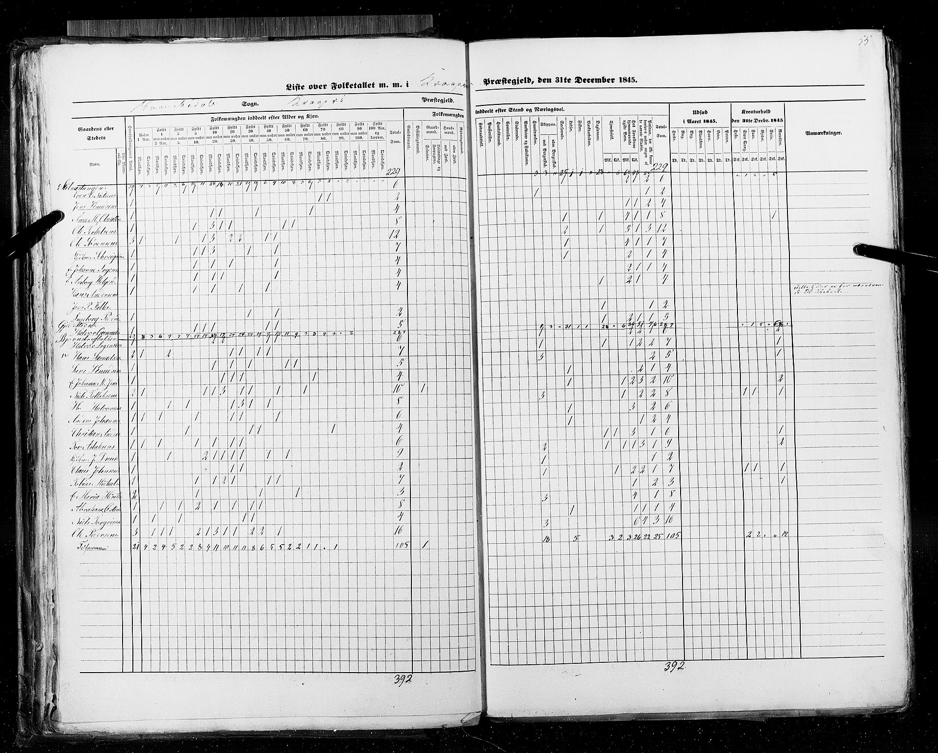 RA, Census 1845, vol. 5: Bratsberg amt og Nedenes og Råbyggelaget amt, 1845, p. 55