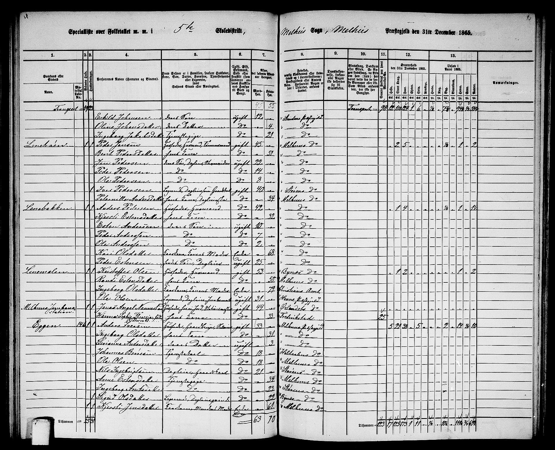 RA, 1865 census for Melhus, 1865, p. 106