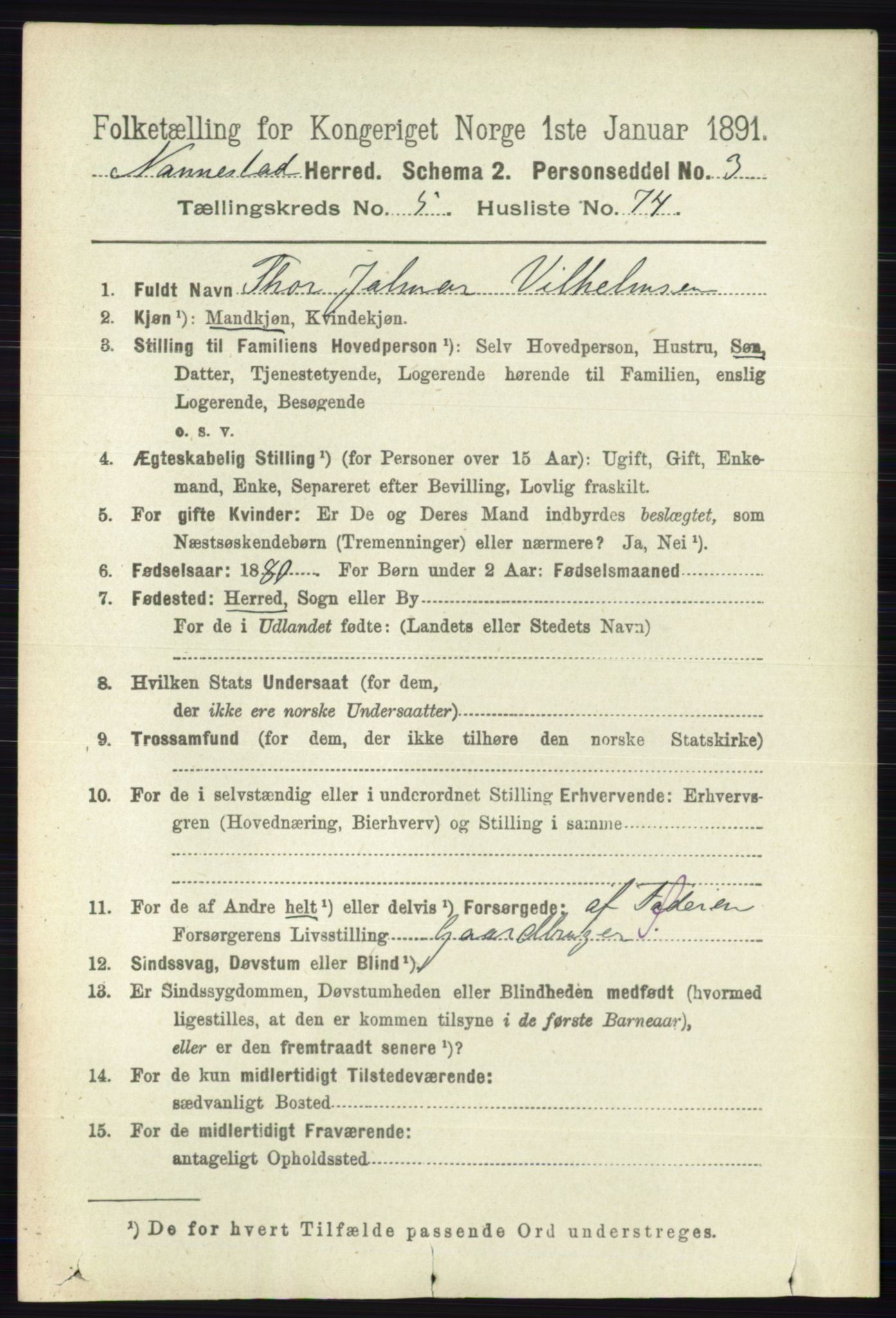 RA, 1891 census for 0238 Nannestad, 1891, p. 2990