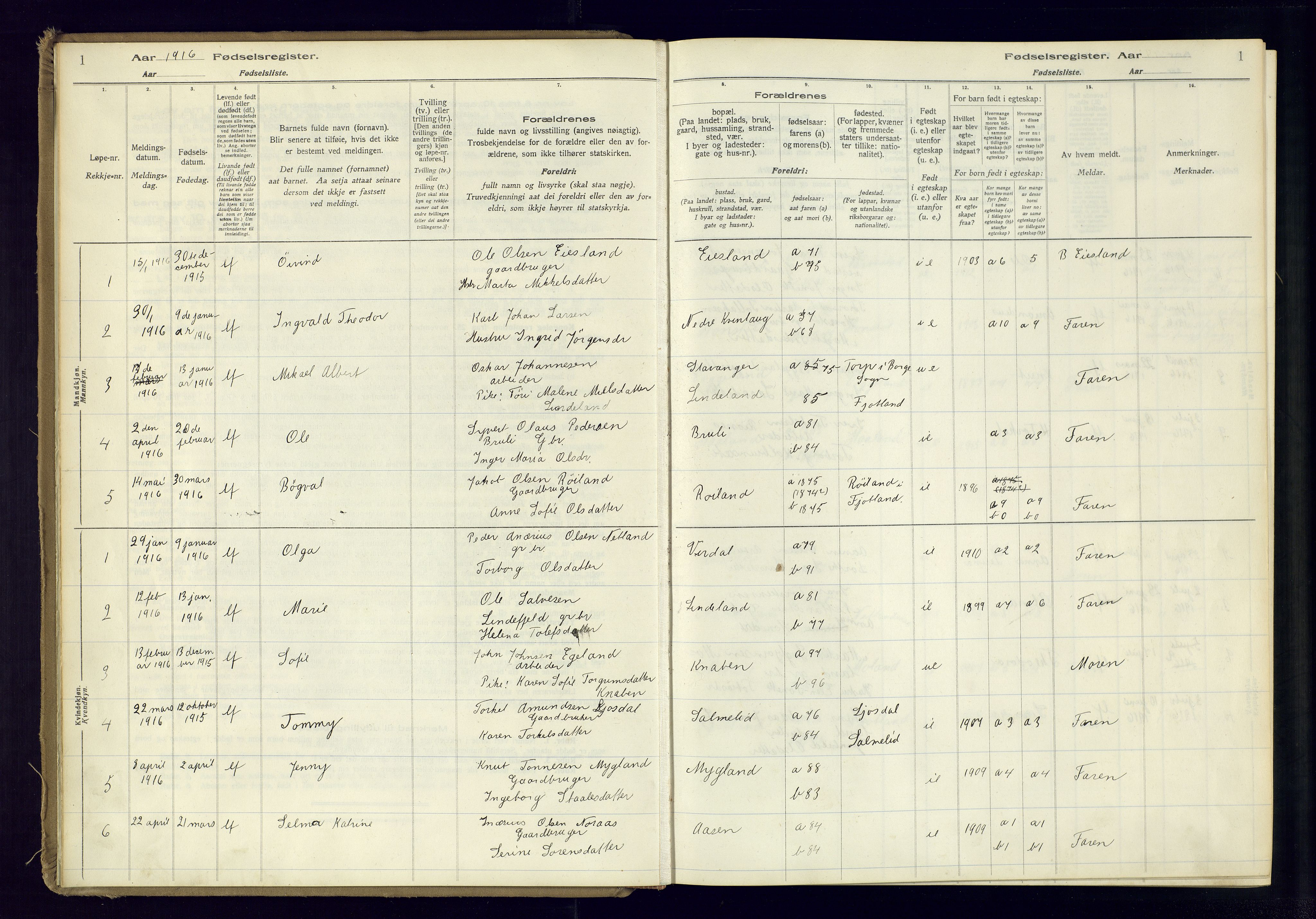 Fjotland sokneprestkontor, SAK/1111-0010/J/Ja/L0001: Birth register no. 1, 1916-1981, p. 1