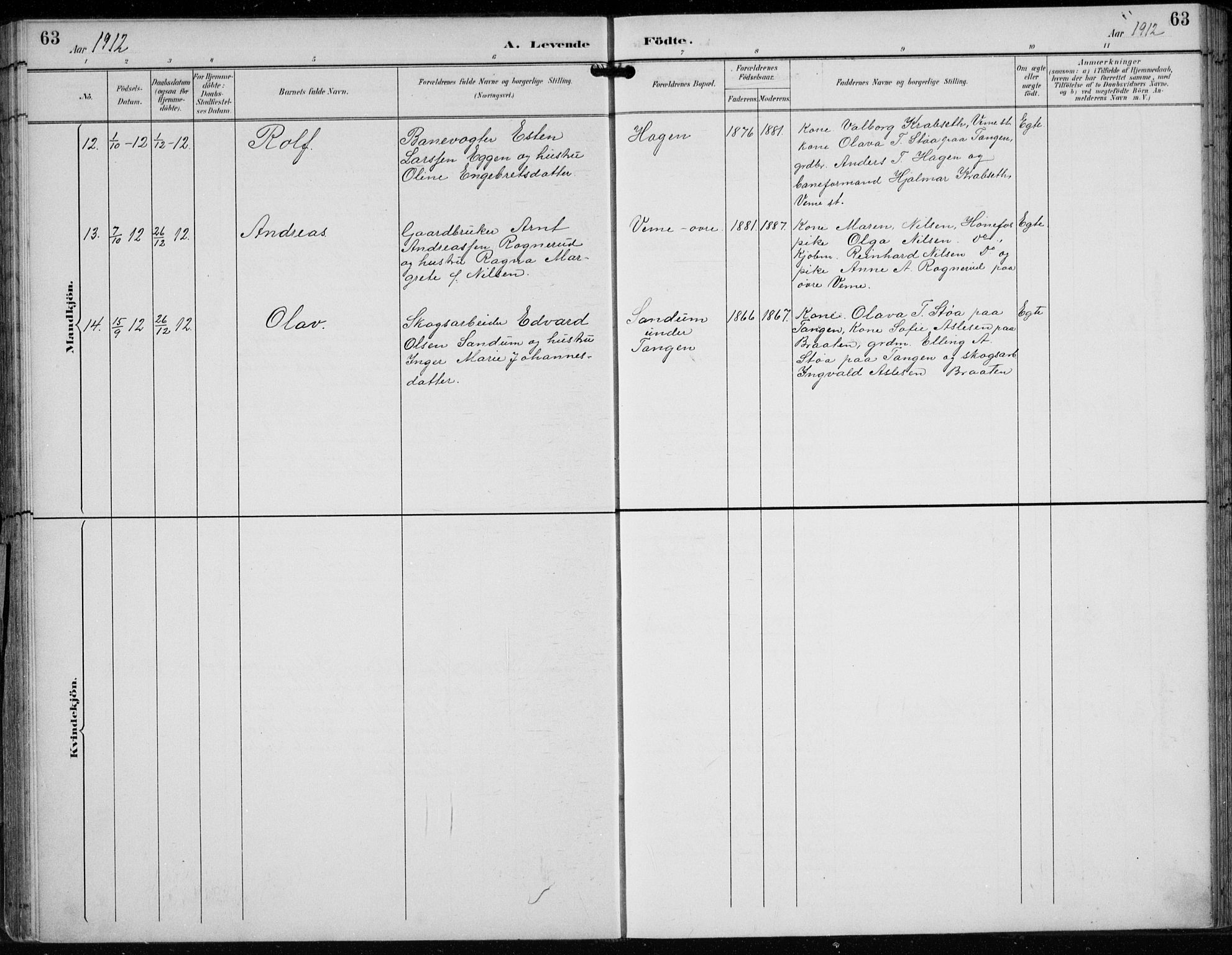 Lunder kirkebøker, AV/SAKO-A-629/F/Fb/L0001: Parish register (official) no. II 1, 1893-1916, p. 63