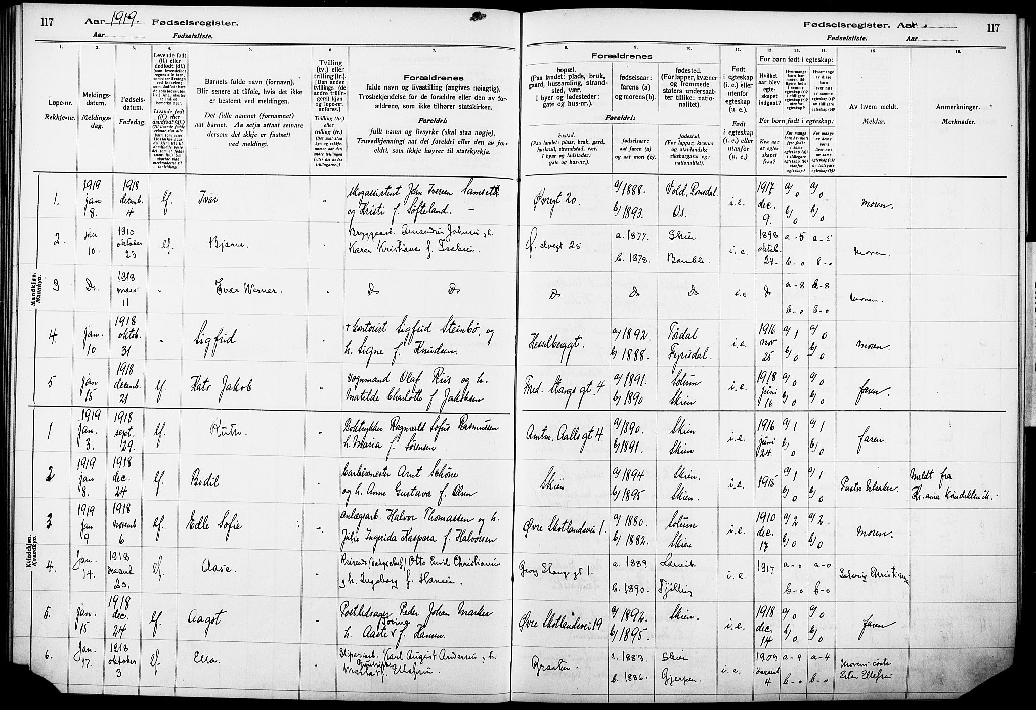 Skien kirkebøker, SAKO/A-302/J/Ja/L0001: Birth register no. 1, 1916-1920, p. 117