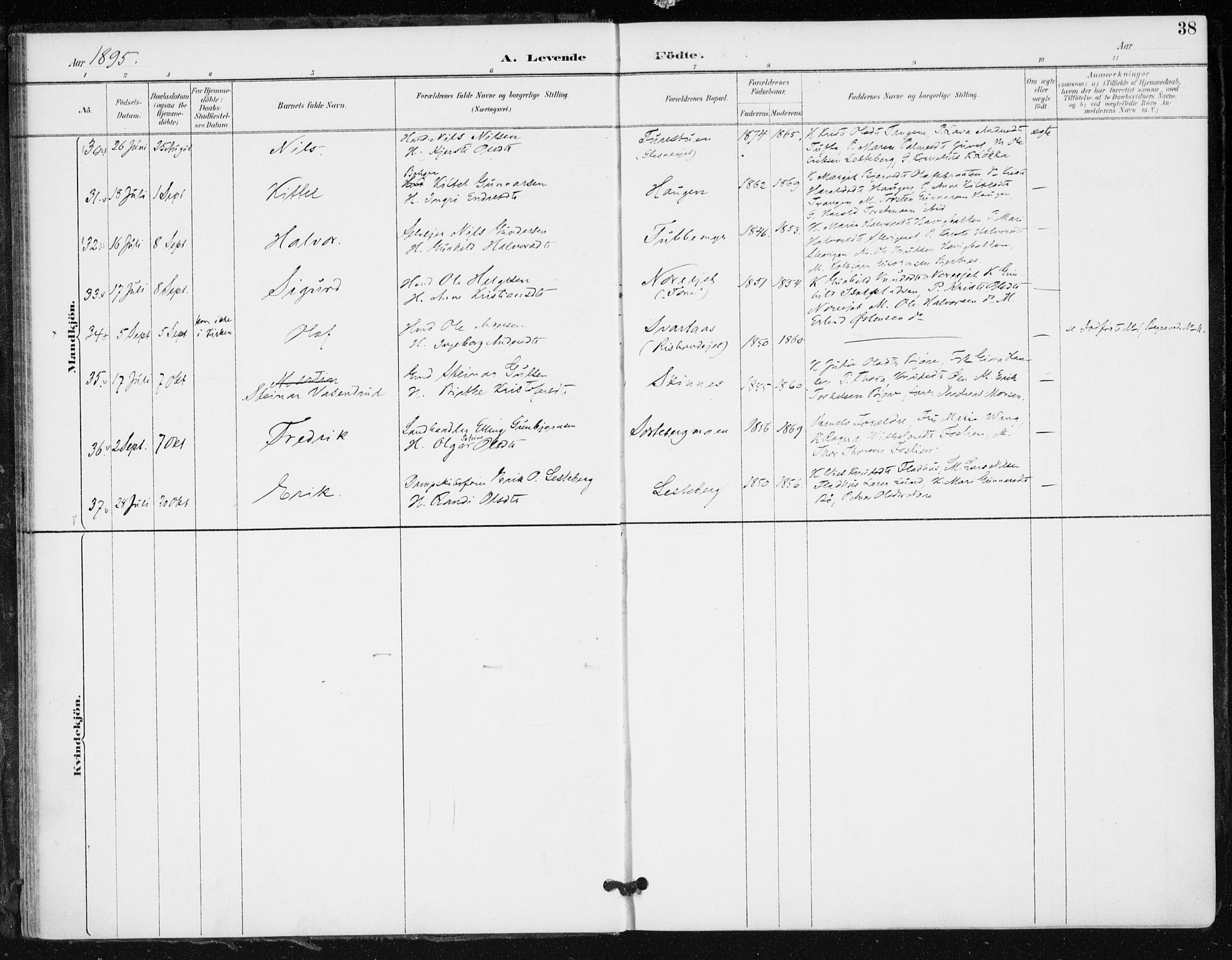 Krødsherad kirkebøker, AV/SAKO-A-19/F/Fa/L0006: Parish register (official) no. 6, 1889-1899, p. 38