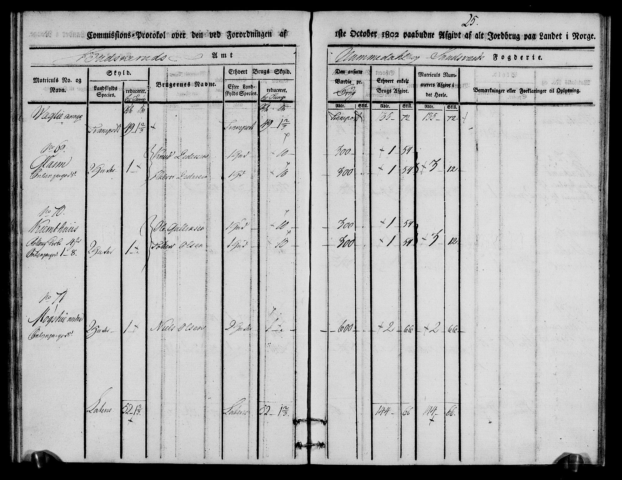 Rentekammeret inntil 1814, Realistisk ordnet avdeling, RA/EA-4070/N/Ne/Nea/L0056a: Numedal og Sandsvær fogderi. Kommisjonsprotokoll for Rollag hovedsogn og Veggli anneks, 1803, p. 26