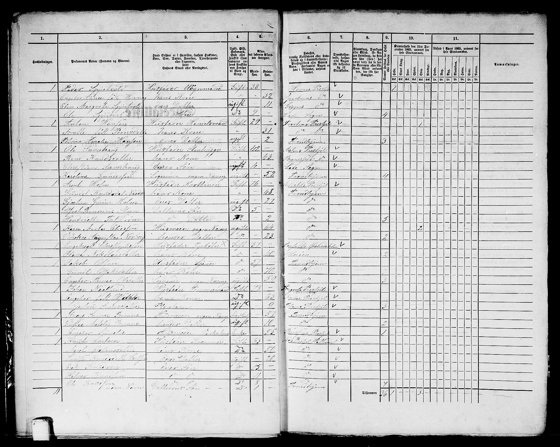 RA, 1865 census for Trondheim, 1865, p. 2096