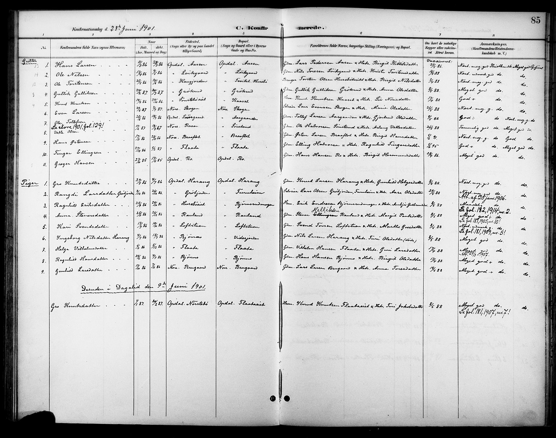 Nore kirkebøker, SAKO/A-238/F/Fc/L0005: Parish register (official) no. III 5, 1898-1922, p. 85