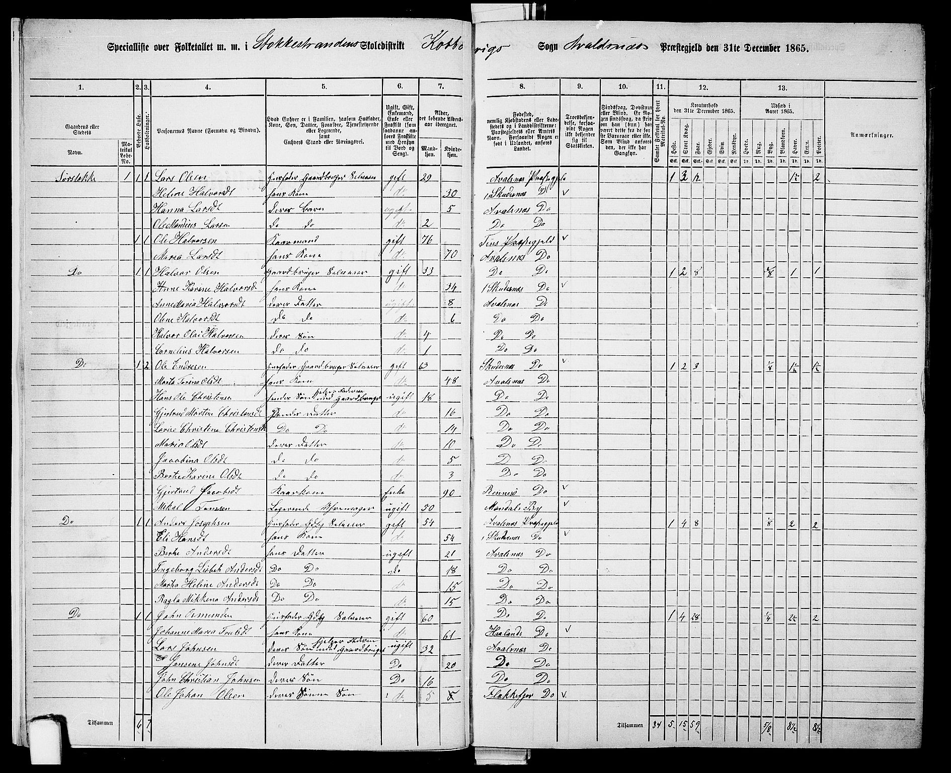 RA, 1865 census for Avaldsnes, 1865, p. 11