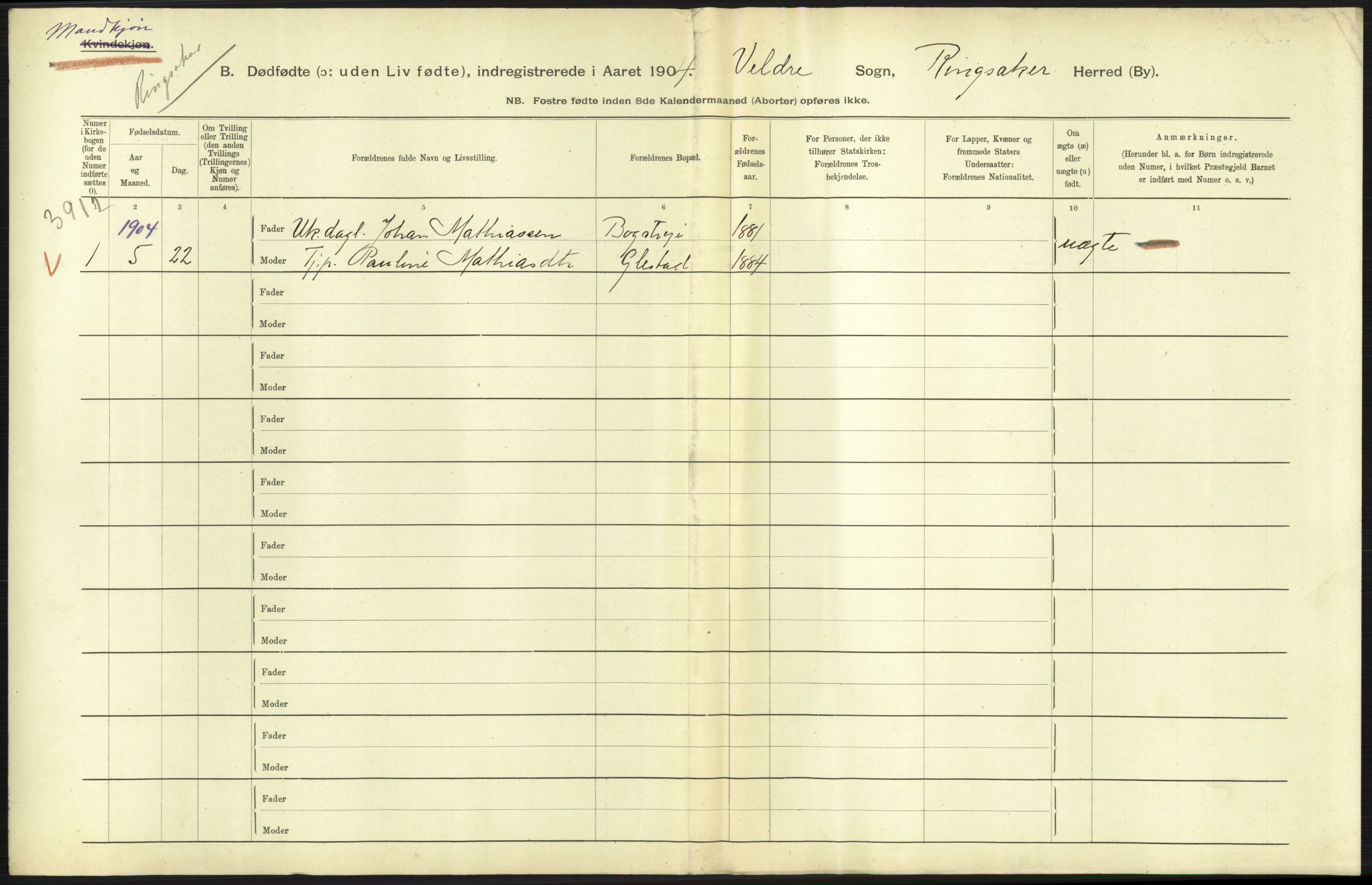 Statistisk sentralbyrå, Sosiodemografiske emner, Befolkning, RA/S-2228/D/Df/Dfa/Dfab/L0025: Smålenenes amt - Stavanger amt: Dødfødte. Bygder., 1904, p. 113