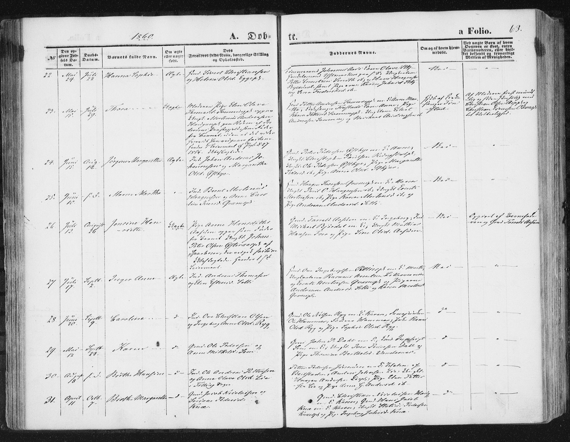 Ministerialprotokoller, klokkerbøker og fødselsregistre - Nord-Trøndelag, AV/SAT-A-1458/746/L0447: Parish register (official) no. 746A06, 1860-1877, p. 63