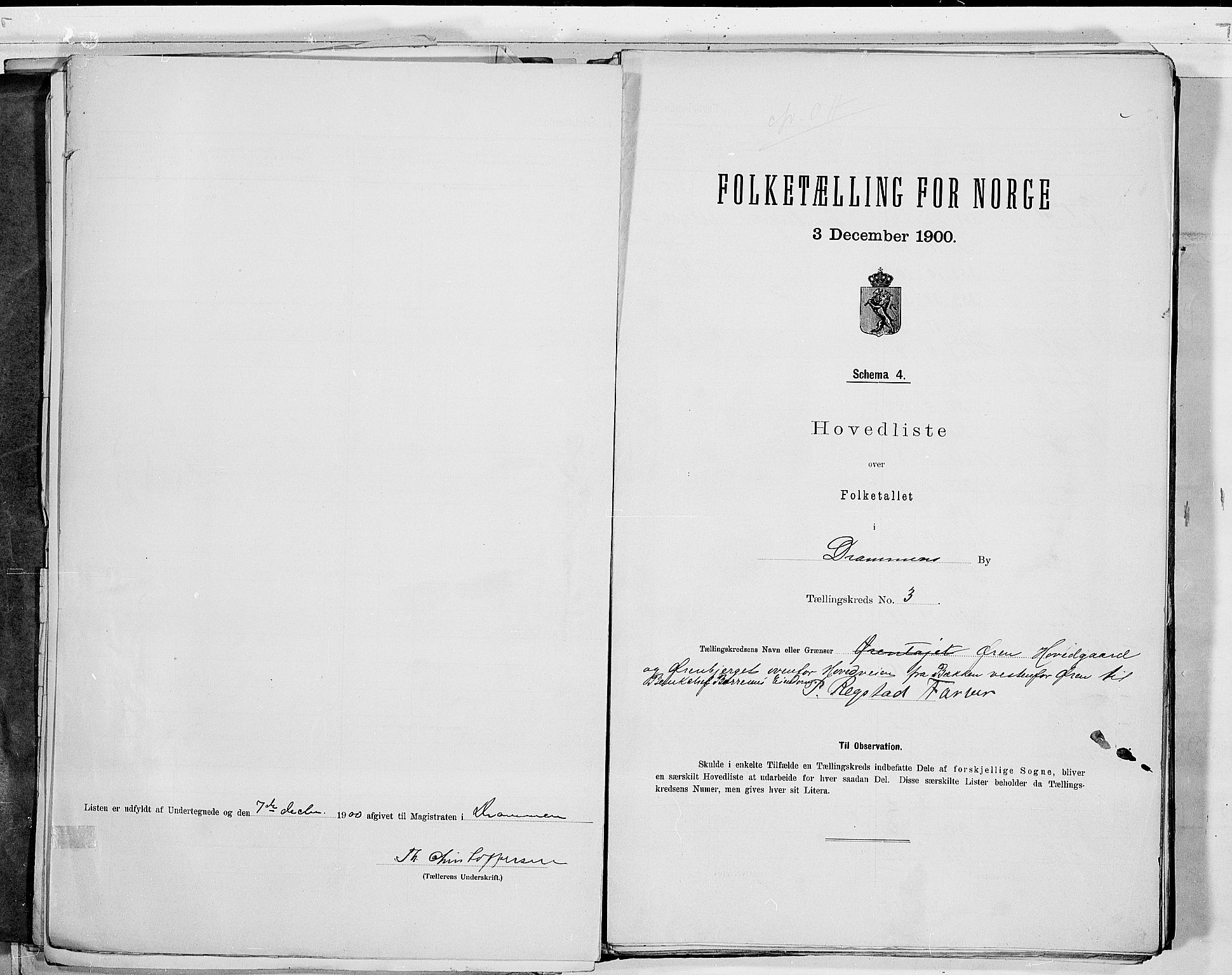 RA, 1900 census for Drammen, 1900, p. 11