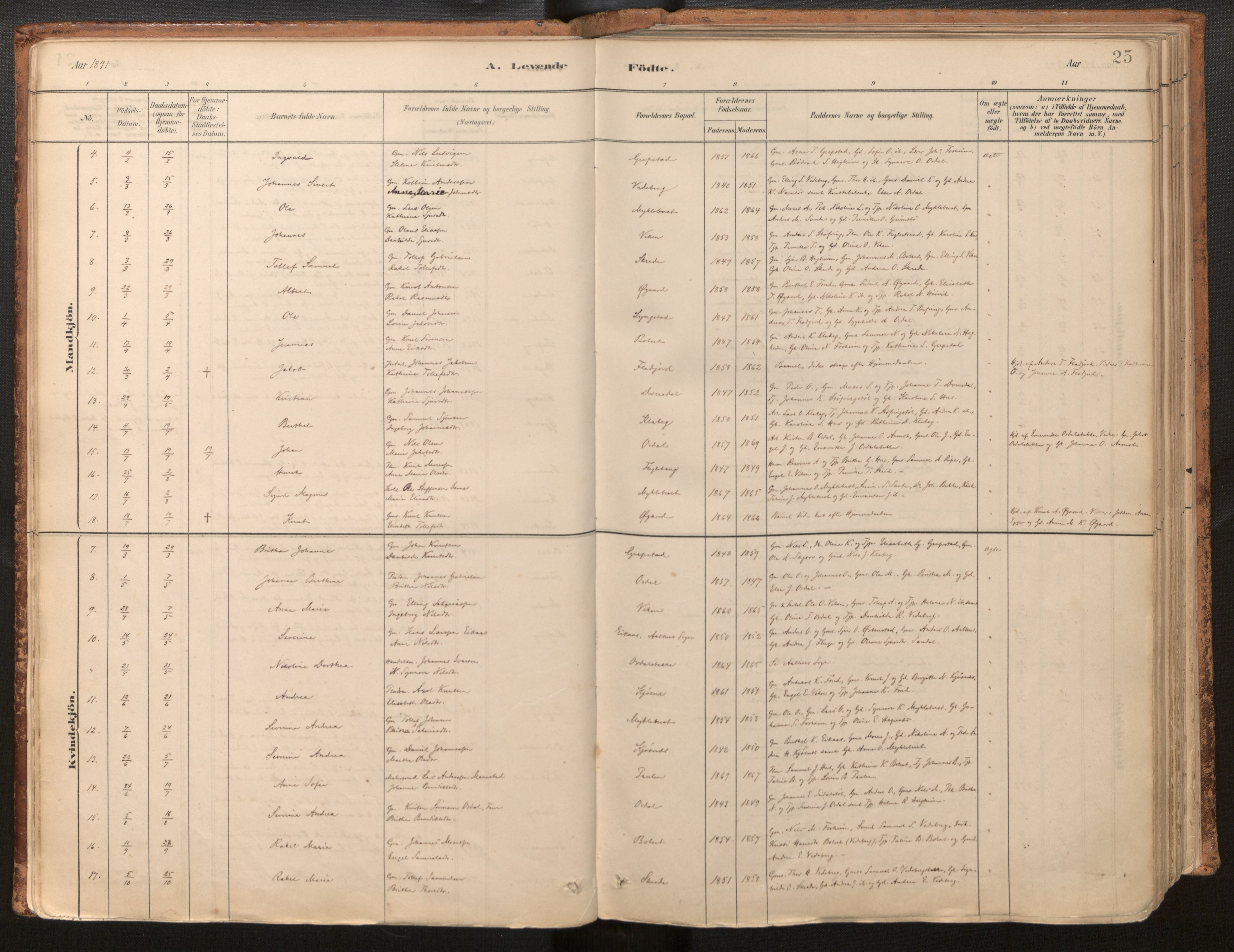Jølster sokneprestembete, SAB/A-80701/H/Haa/Haac/L0001: Parish register (official) no. C 1, 1882-1928, p. 25
