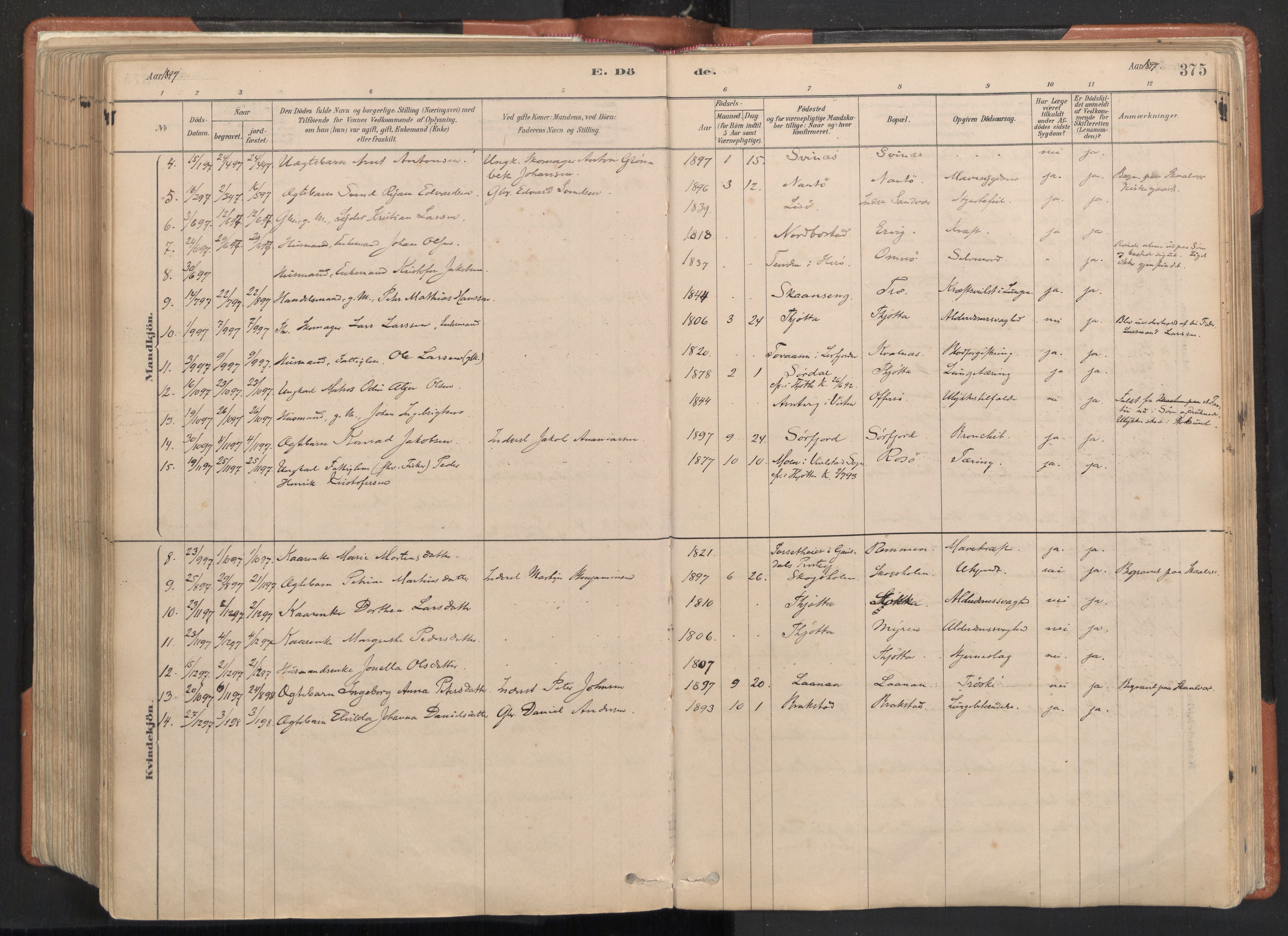 Ministerialprotokoller, klokkerbøker og fødselsregistre - Nordland, AV/SAT-A-1459/817/L0264: Parish register (official) no. 817A04, 1878-1907, p. 375