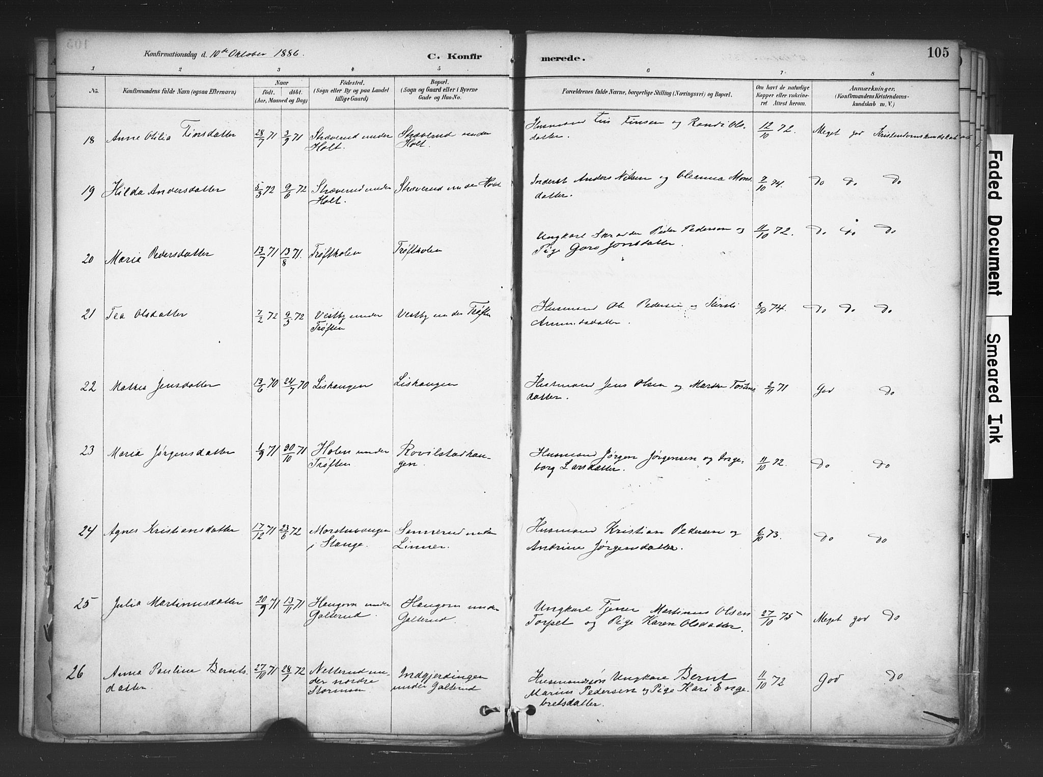 Nord-Odal prestekontor, AV/SAH-PREST-032/H/Ha/Haa/L0006: Parish register (official) no. 6, 1886-1901, p. 105