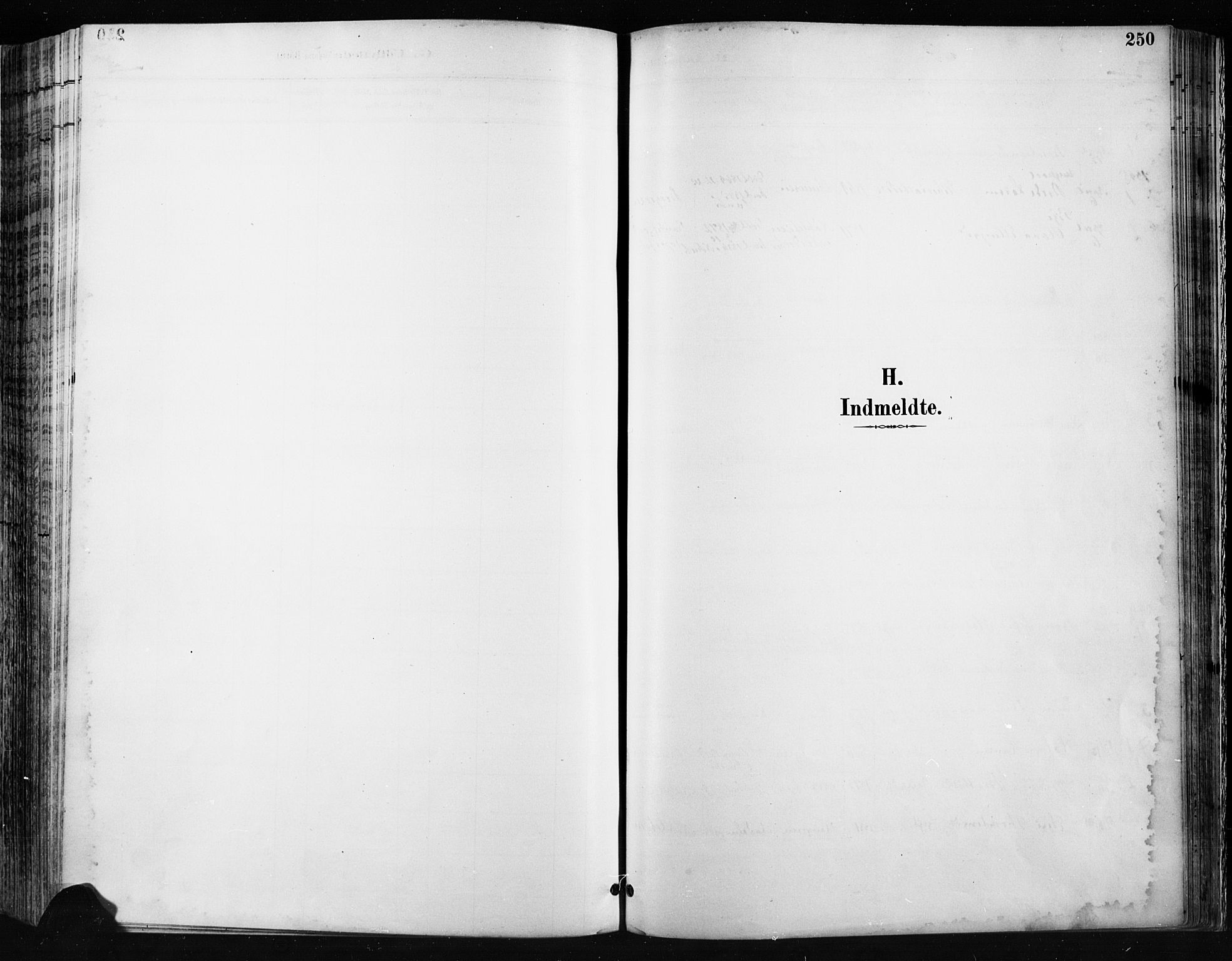 Jevnaker prestekontor, SAH/PREST-116/H/Ha/Haa/L0009: Parish register (official) no. 9, 1891-1901, p. 250
