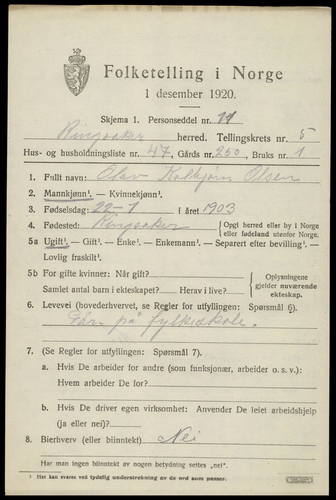 SAH, 1920 census for Ringsaker, 1920, p. 10328