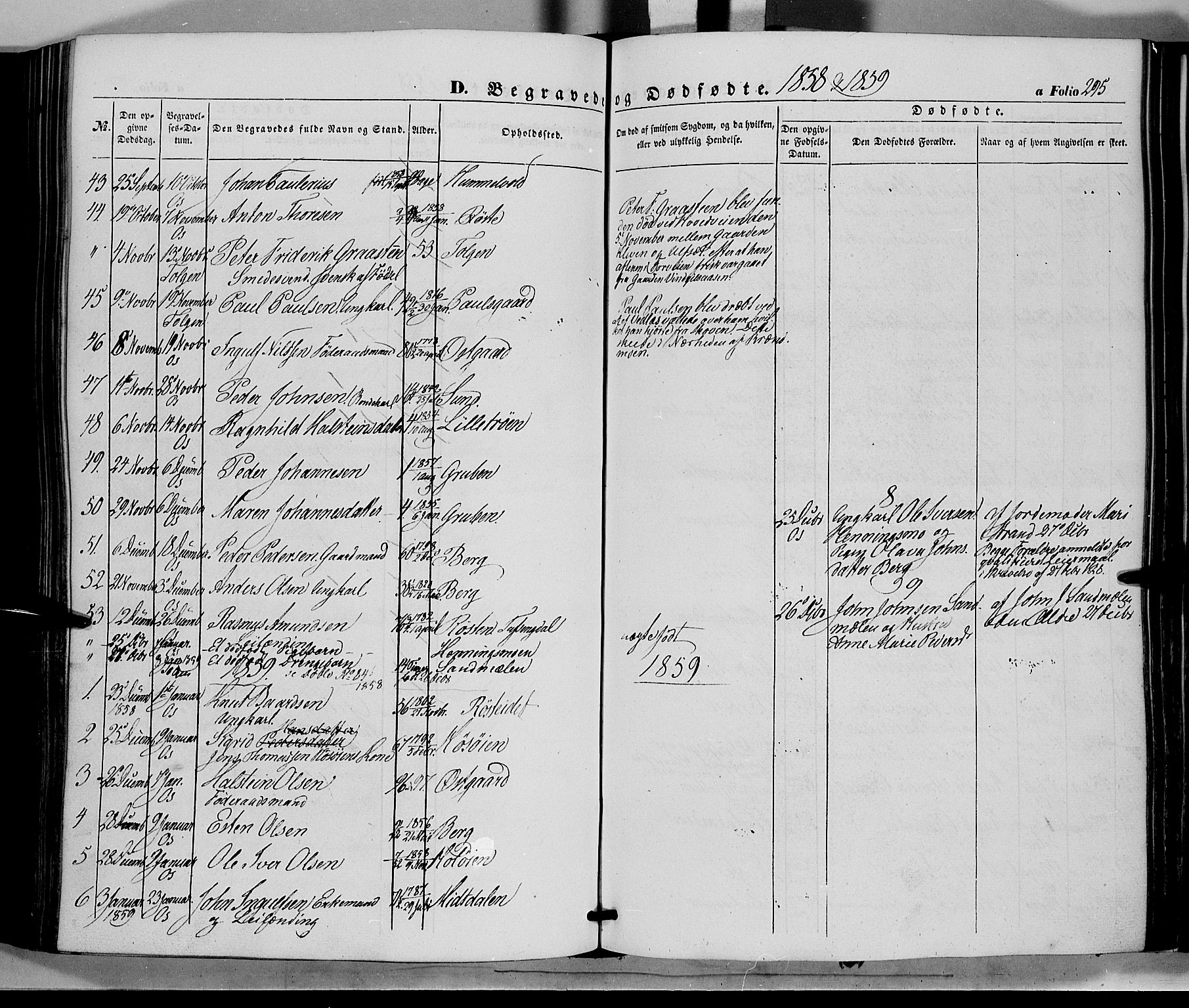 Tolga prestekontor, AV/SAH-PREST-062/K/L0006: Parish register (official) no. 6, 1852-1876, p. 295