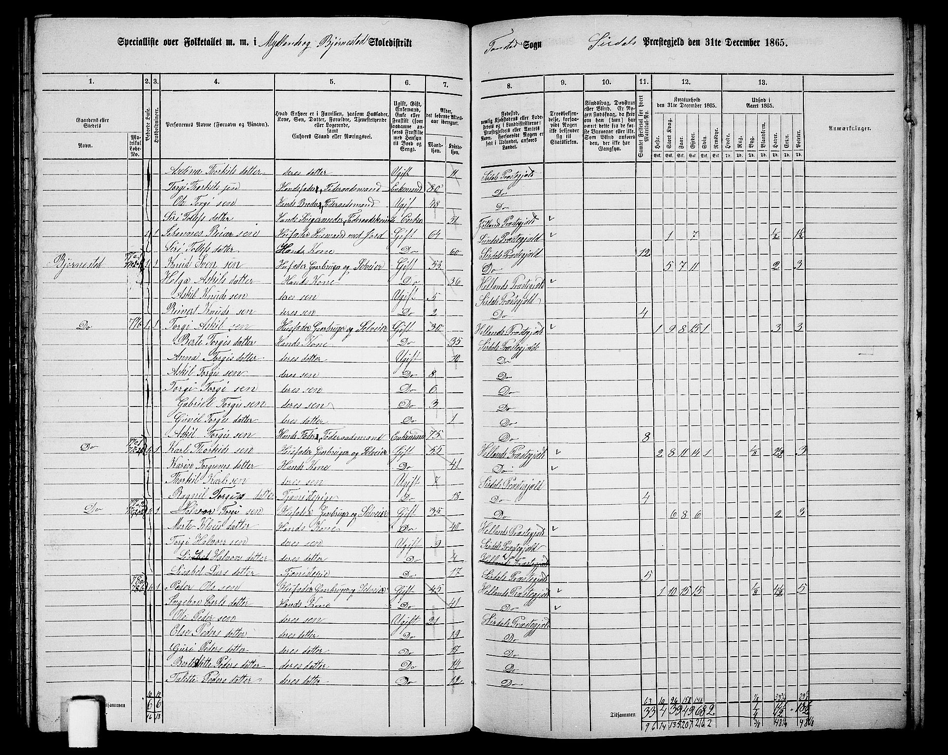 RA, 1865 census for Sirdal, 1865, p. 9