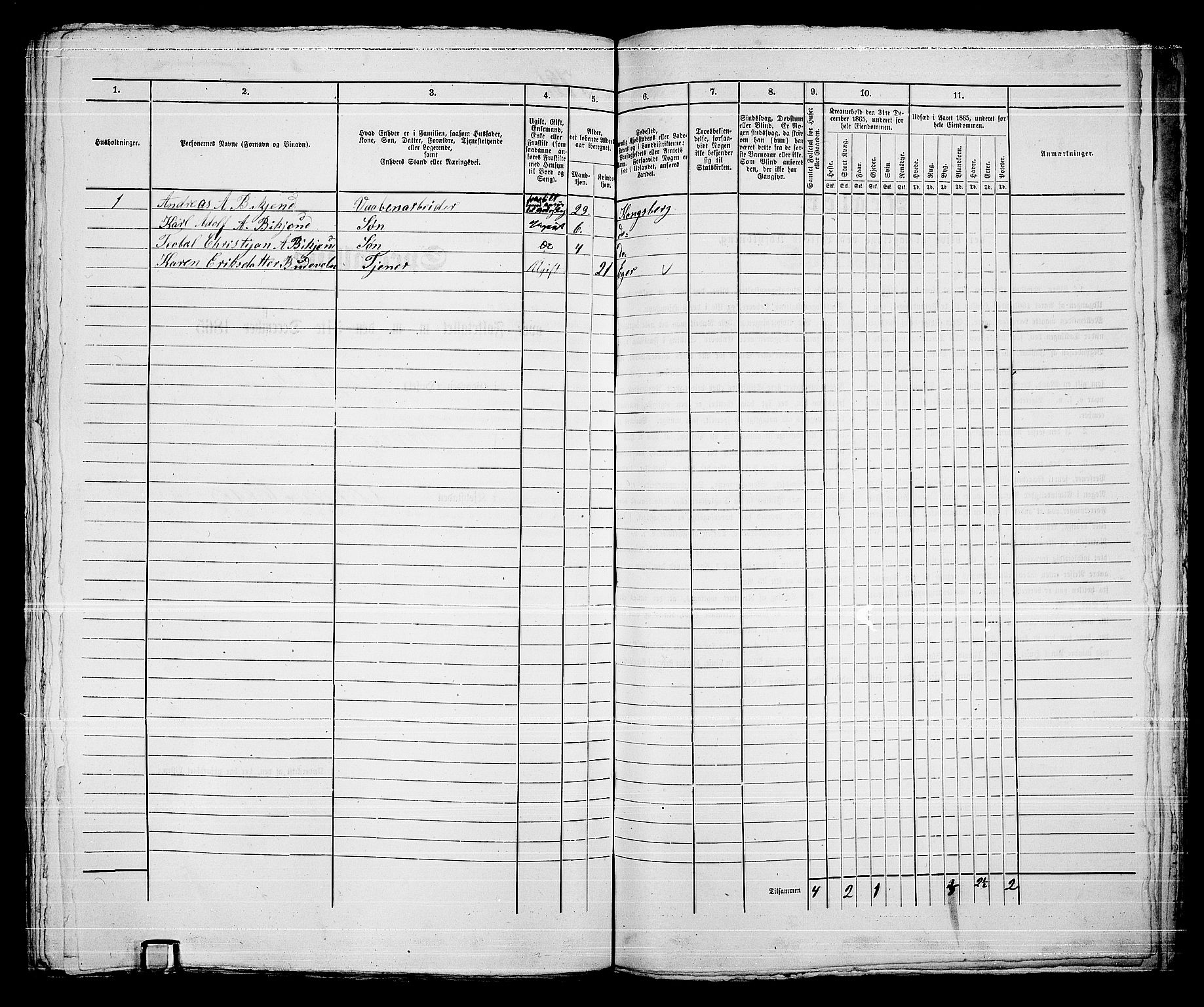 RA, 1865 census for Kongsberg/Kongsberg, 1865, p. 1473