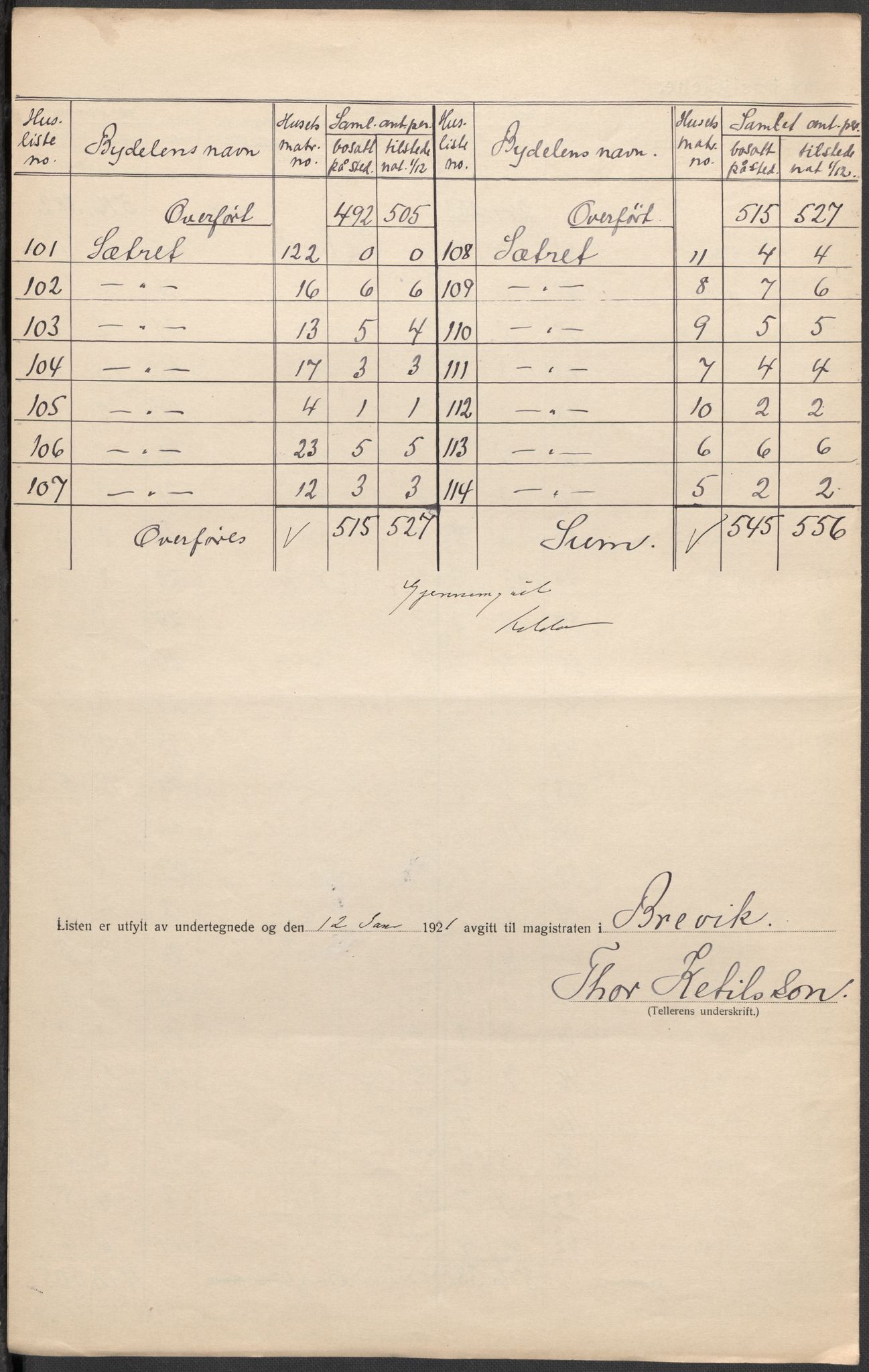 SAKO, 1920 census for Brevik, 1920, p. 17