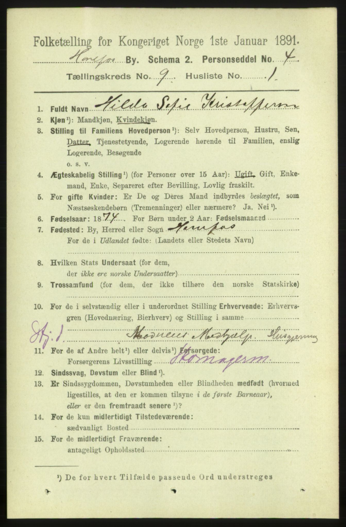 RA, 1891 census for 0601 Hønefoss, 1891, p. 1326