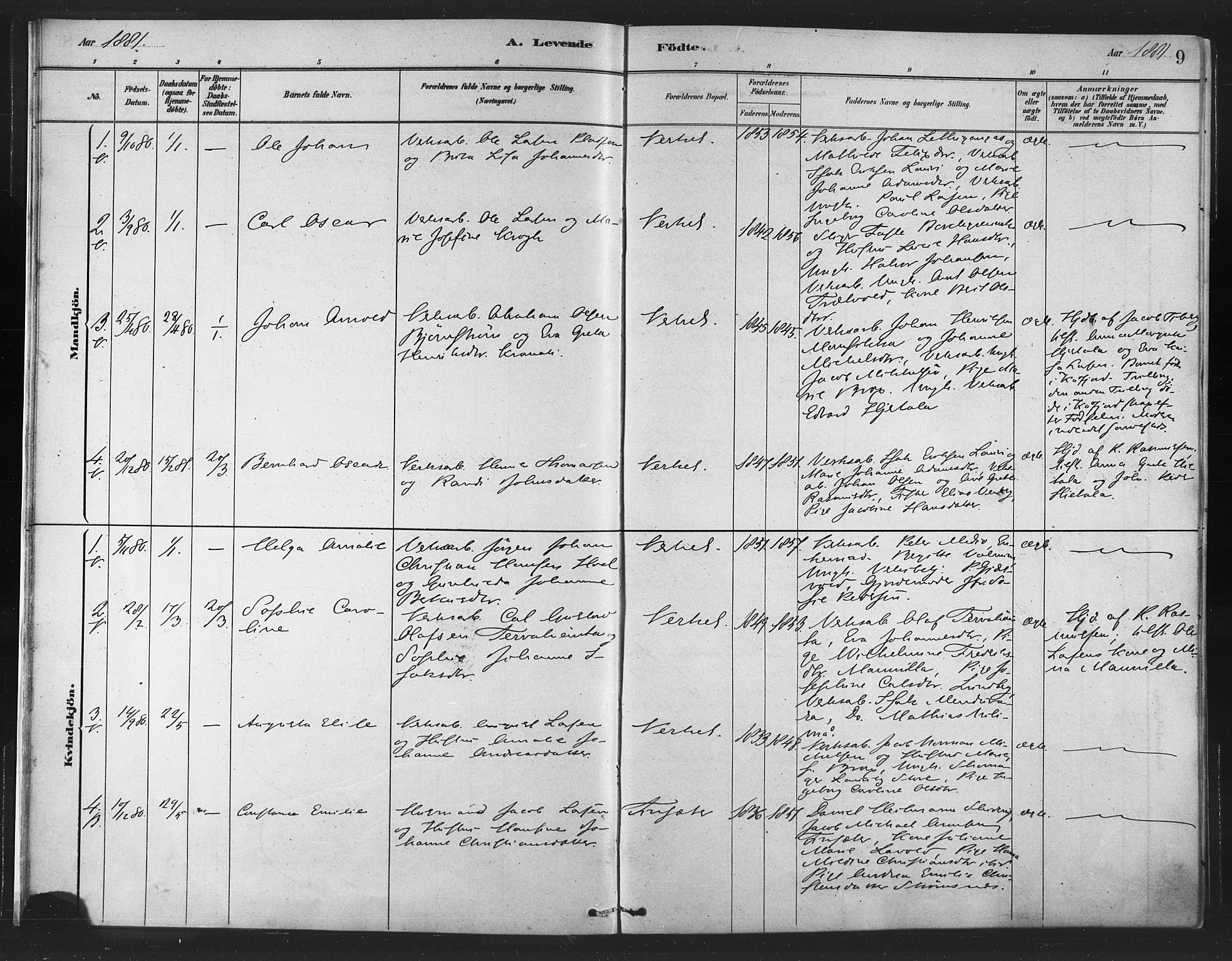 Berg sokneprestkontor, AV/SATØ-S-1318/G/Ga/Gaa/L0004kirke: Parish register (official) no. 4, 1880-1894, p. 9
