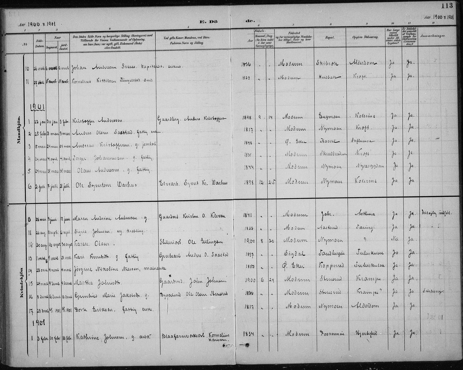 Modum kirkebøker, AV/SAKO-A-234/F/Fa/L0017: Parish register (official) no. 17, 1900-1915, p. 113