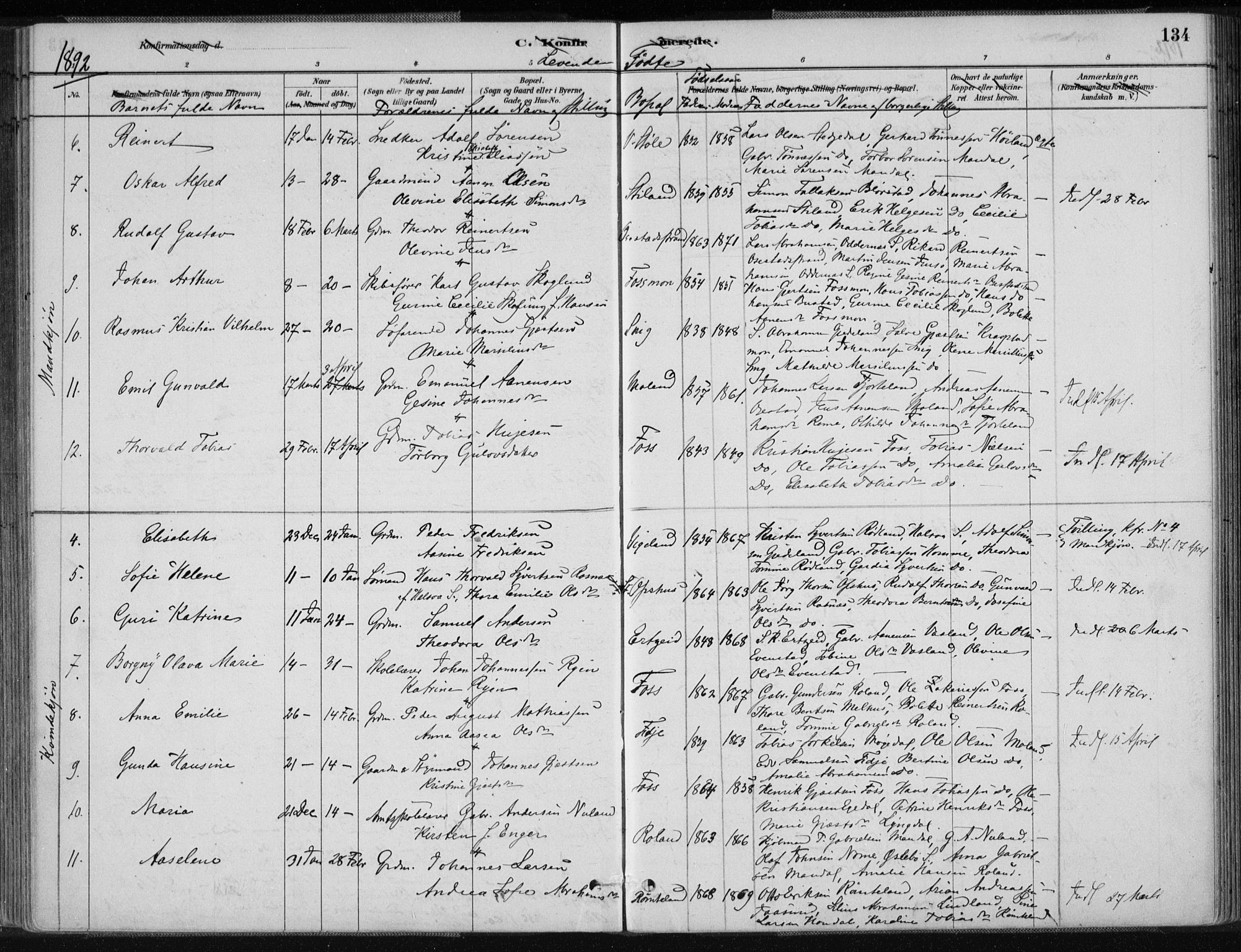 Sør-Audnedal sokneprestkontor, AV/SAK-1111-0039/F/Fa/Fab/L0009: Parish register (official) no. A 9, 1880-1895, p. 134