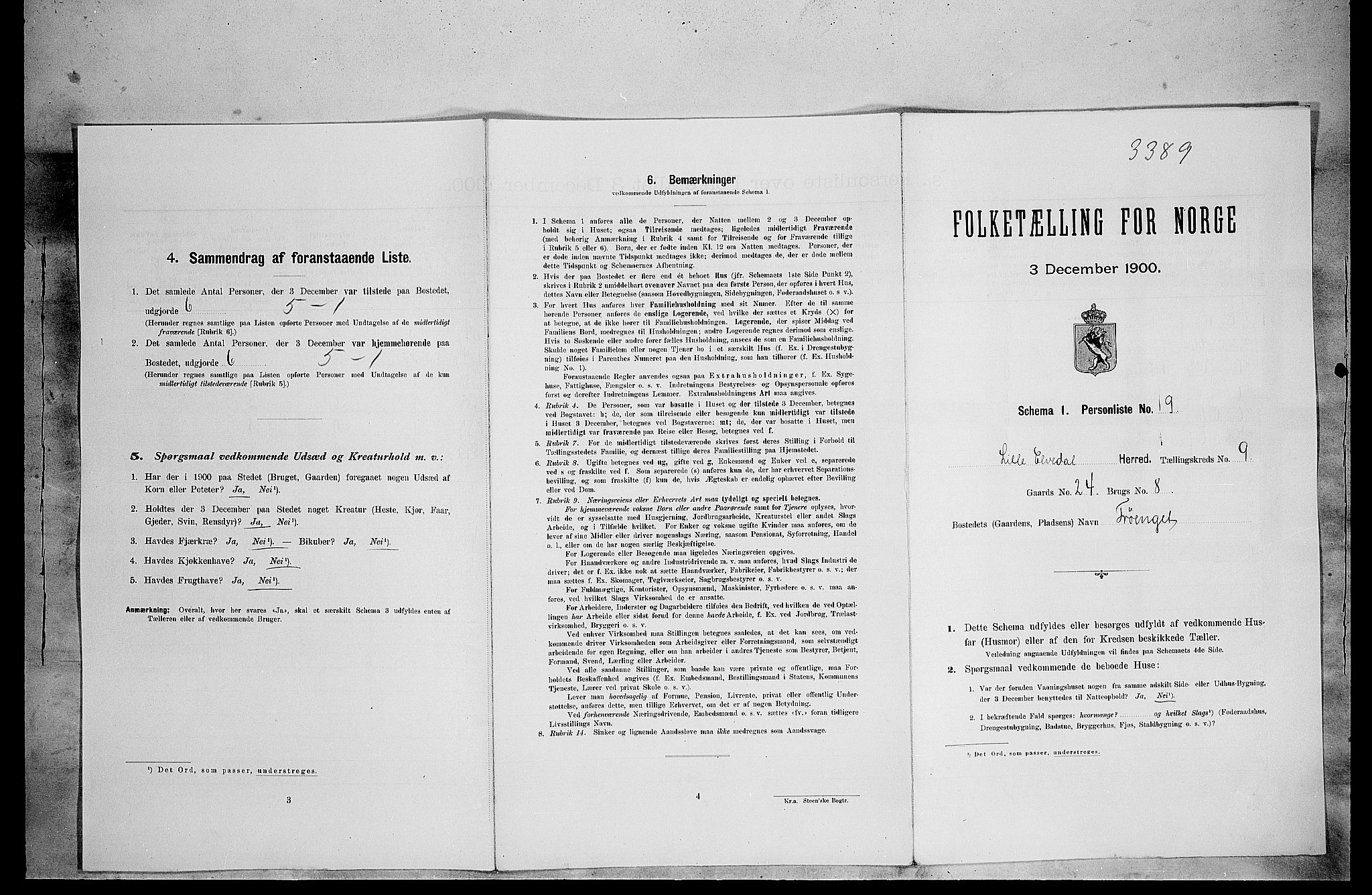 SAH, 1900 census for Lille Elvedalen, 1900, p. 675