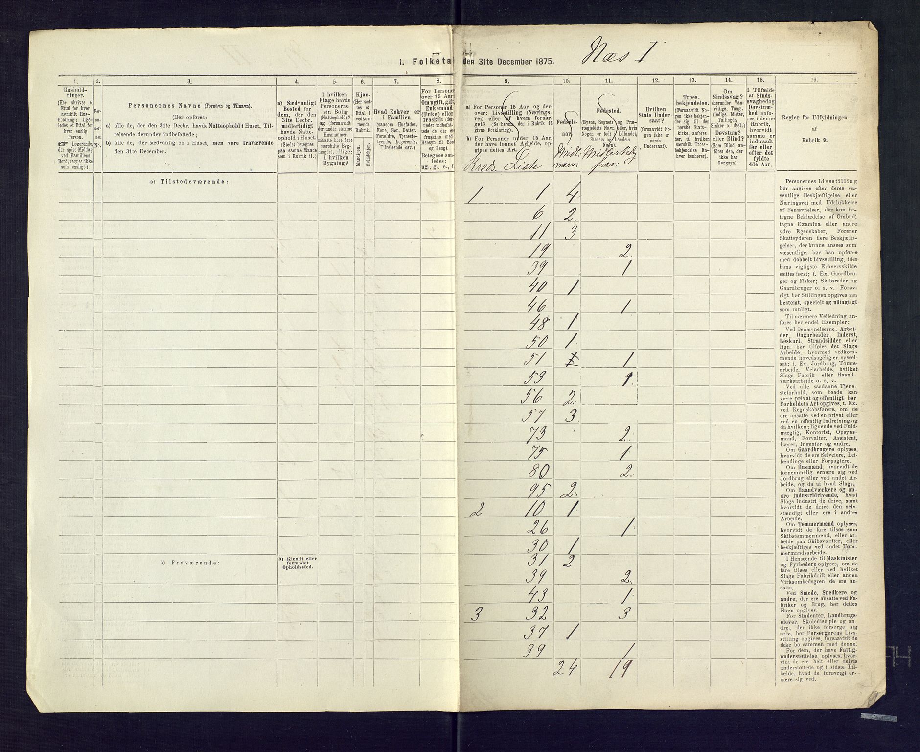 SAKO, 1875 census for 0616P Nes, 1875, p. 49