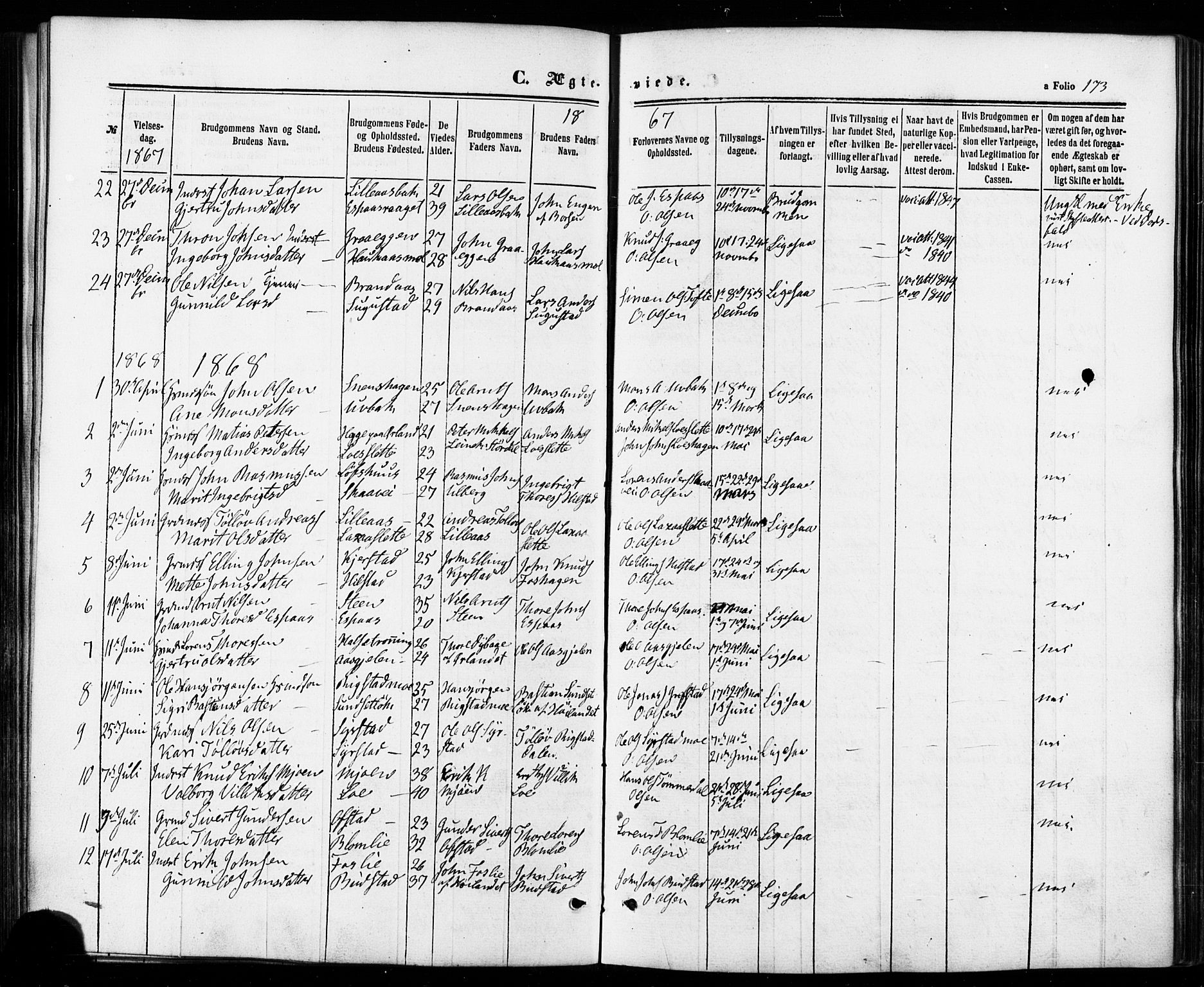 Ministerialprotokoller, klokkerbøker og fødselsregistre - Sør-Trøndelag, SAT/A-1456/672/L0856: Parish register (official) no. 672A08, 1861-1881, p. 173
