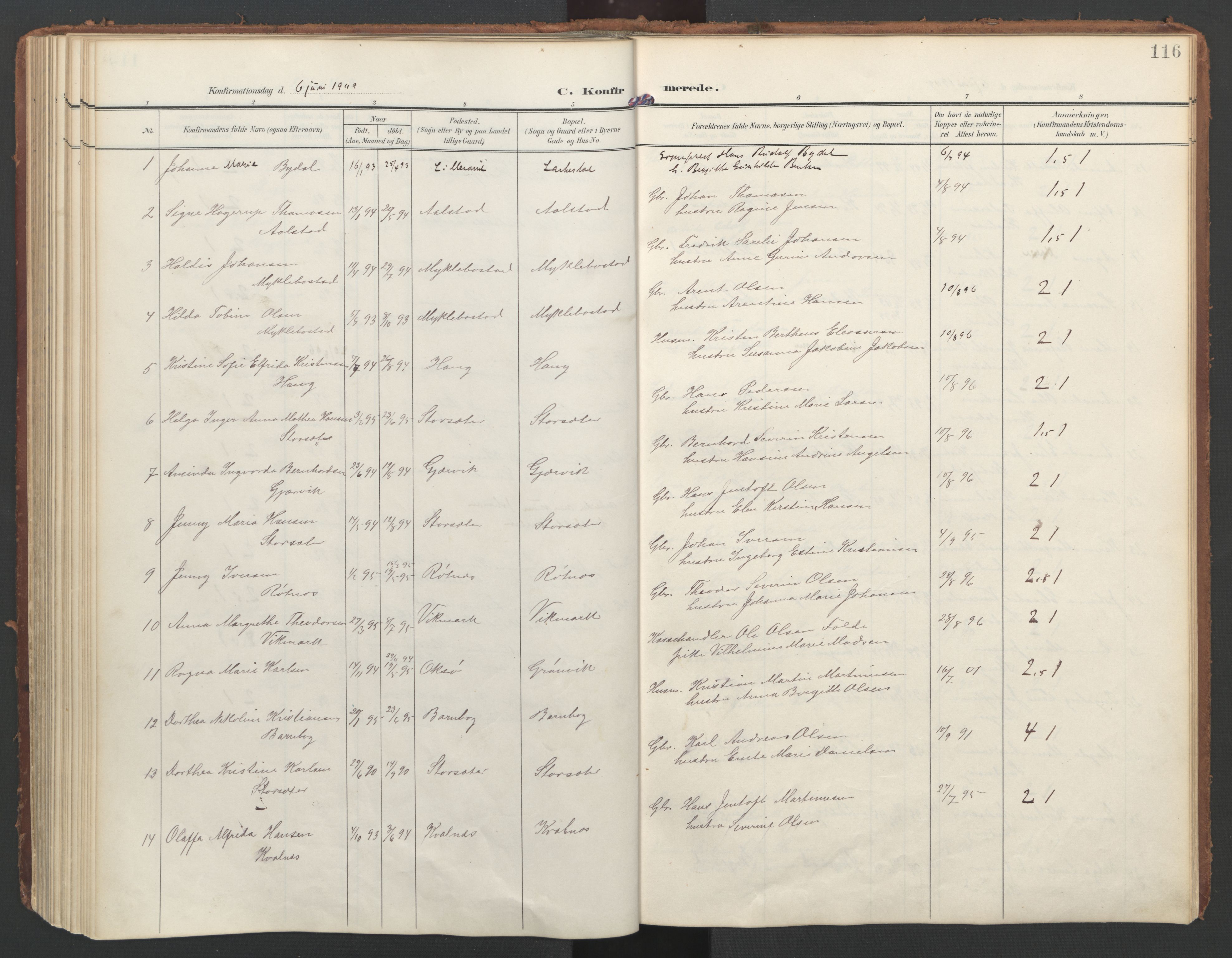 Ministerialprotokoller, klokkerbøker og fødselsregistre - Nordland, AV/SAT-A-1459/855/L0805: Parish register (official) no. 855A13, 1906-1920, p. 116