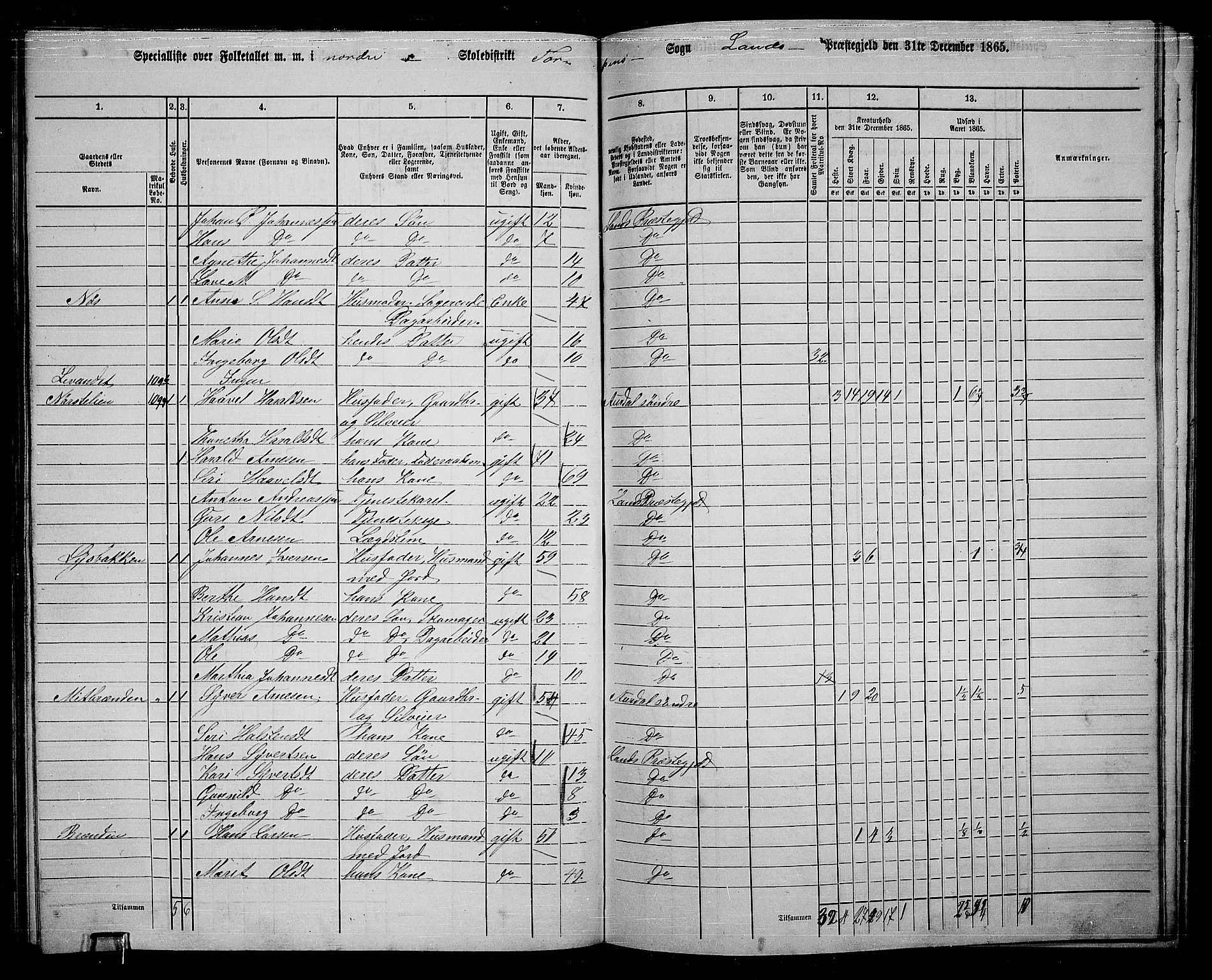 RA, 1865 census for Land, 1865, p. 166