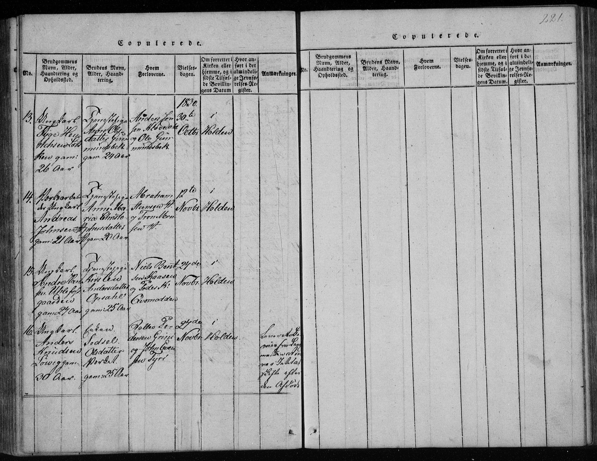 Holla kirkebøker, AV/SAKO-A-272/F/Fa/L0003: Parish register (official) no. 3, 1815-1830, p. 221