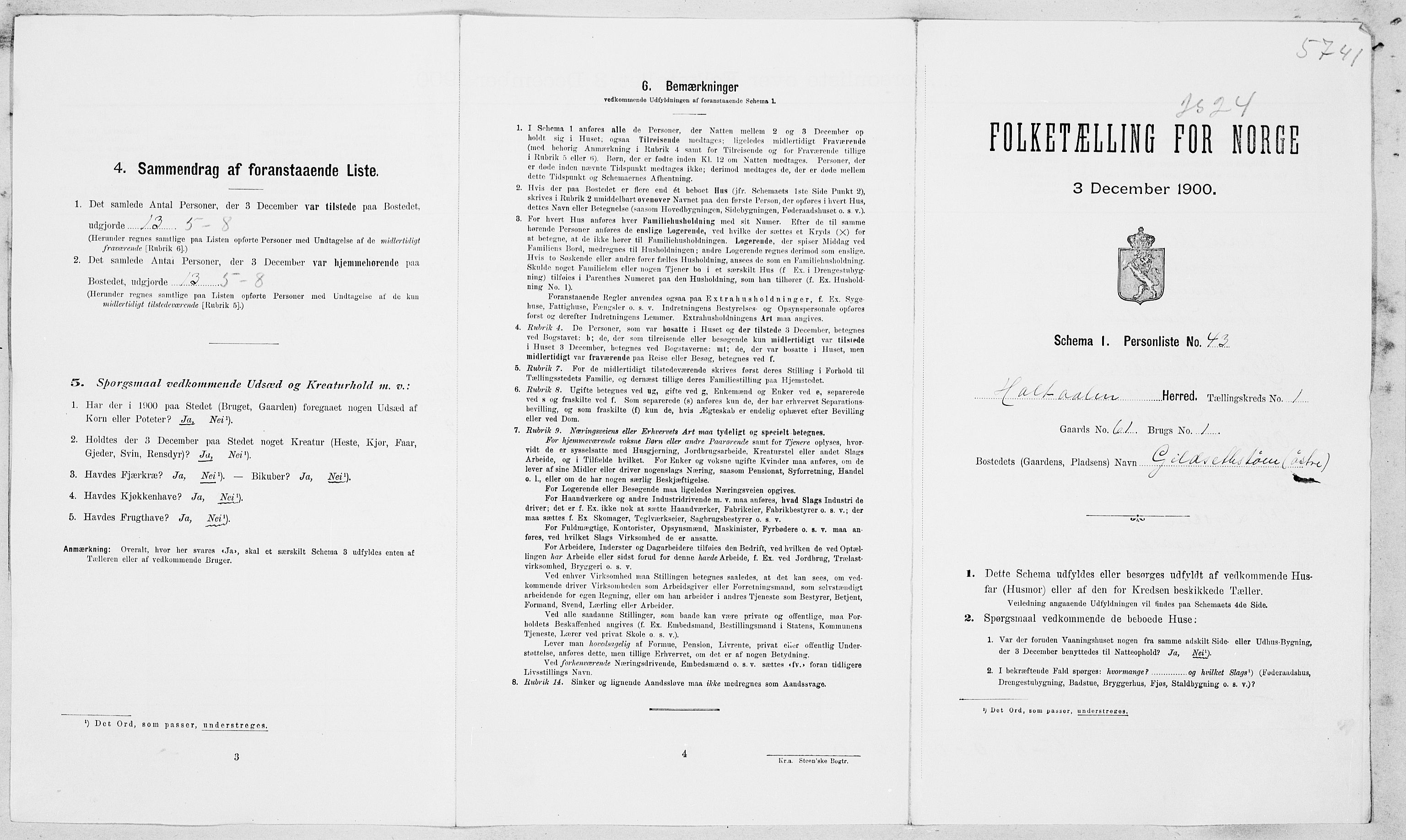 SAT, 1900 census for Haltdalen, 1900, p. 14