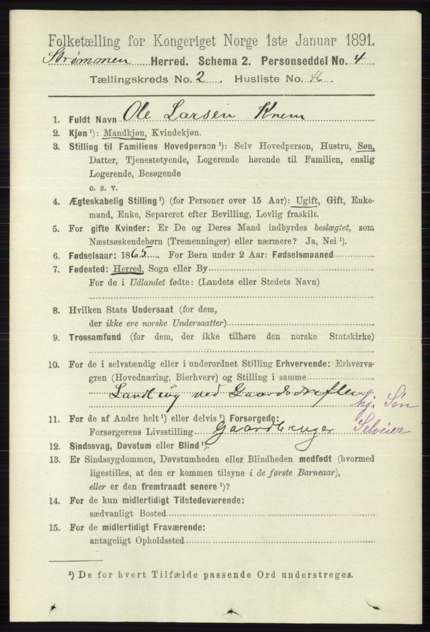 RA, 1891 census for 0711 Strømm, 1891, p. 968