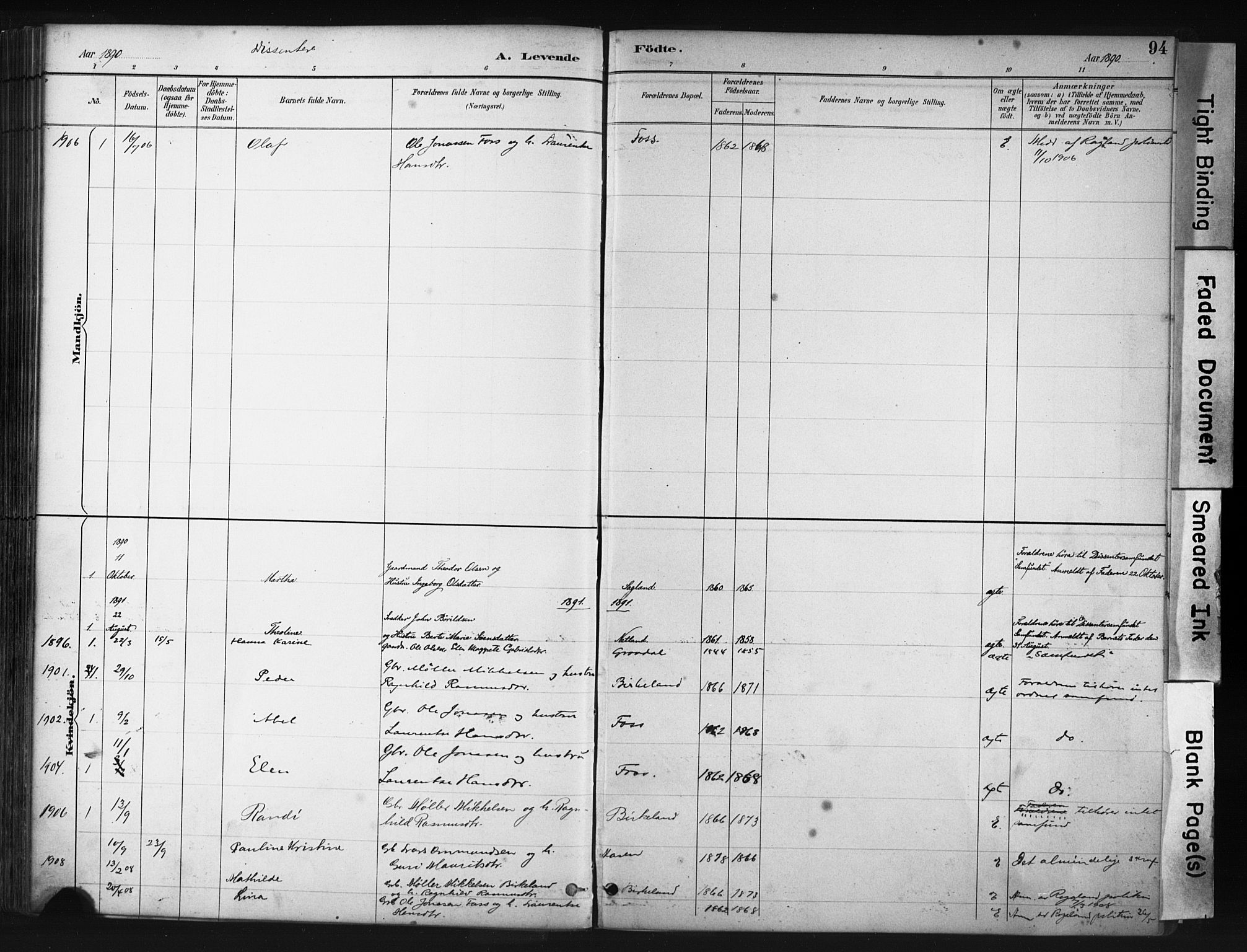 Helleland sokneprestkontor, AV/SAST-A-101810: Parish register (official) no. A 9, 1887-1908, p. 94