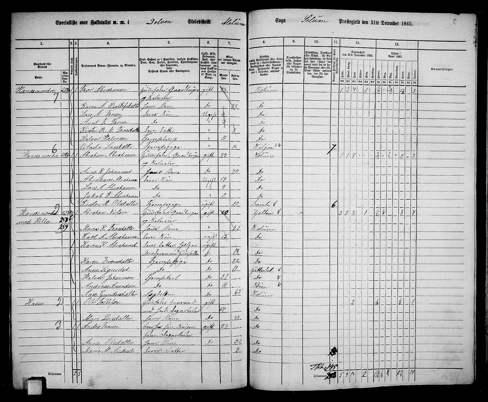 RA, 1865 census for Solum, 1865, p. 200