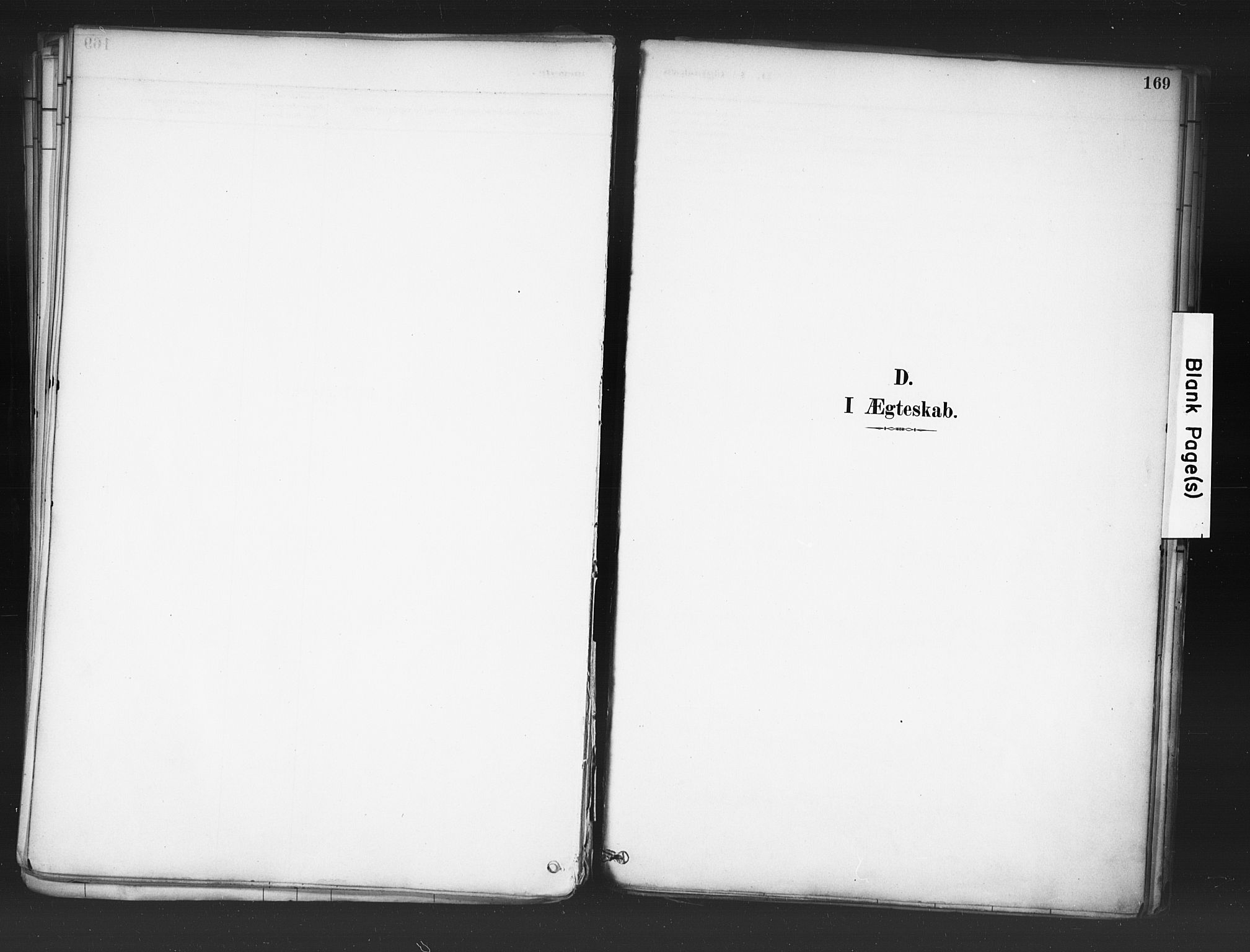 Nord-Odal prestekontor, AV/SAH-PREST-032/H/Ha/Haa/L0006: Parish register (official) no. 6, 1886-1901, p. 169