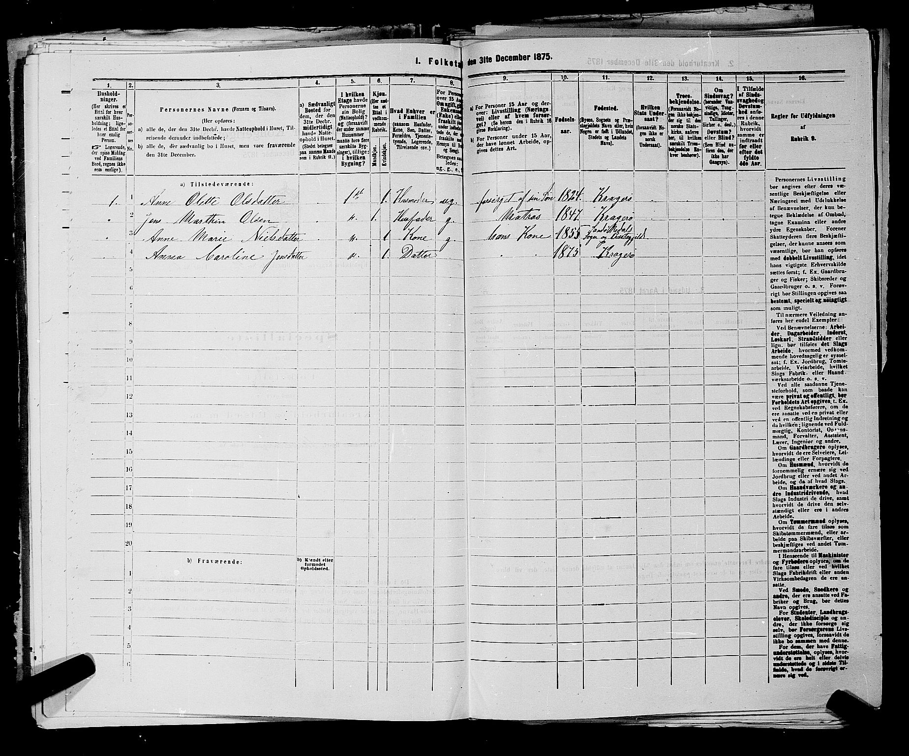 SAKO, 1875 census for 0801P Kragerø, 1875, p. 1155