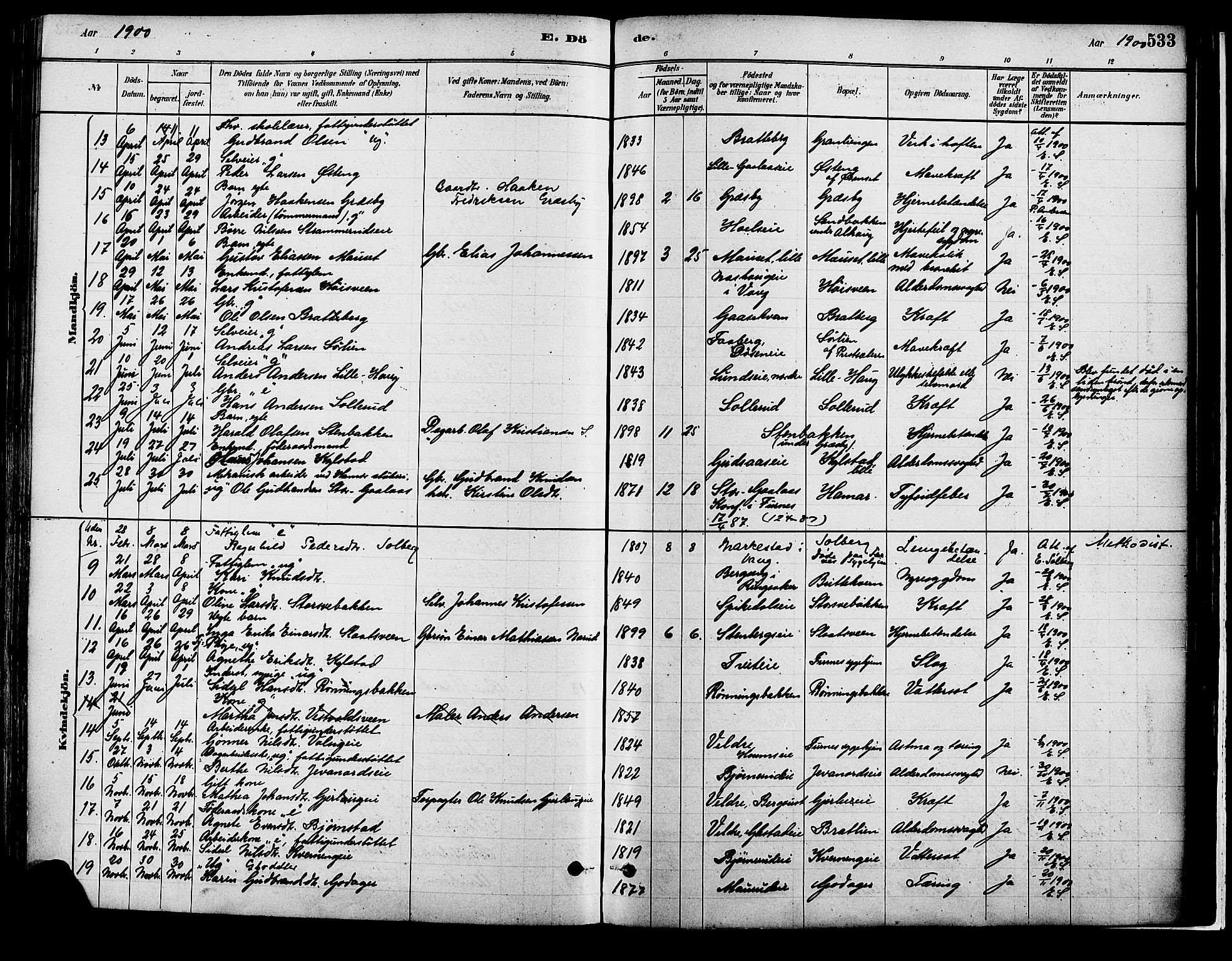 Vang prestekontor, Hedmark, SAH/PREST-008/H/Ha/Haa/L0018B: Parish register (official) no. 18B, 1880-1906, p. 533