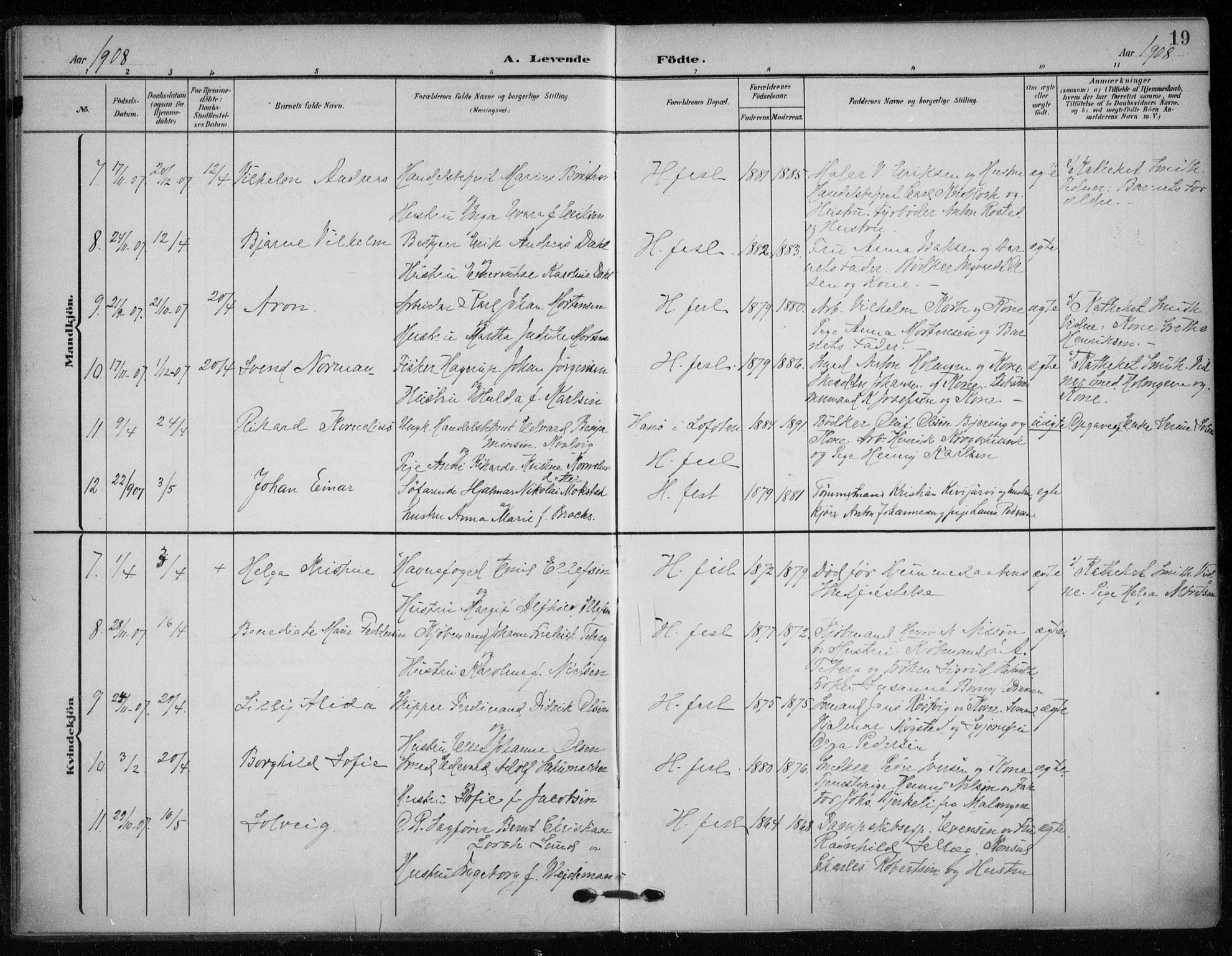 Hammerfest sokneprestkontor, SATØ/S-1347/H/Ha/L0014.kirke: Parish register (official) no. 14, 1906-1916, p. 19