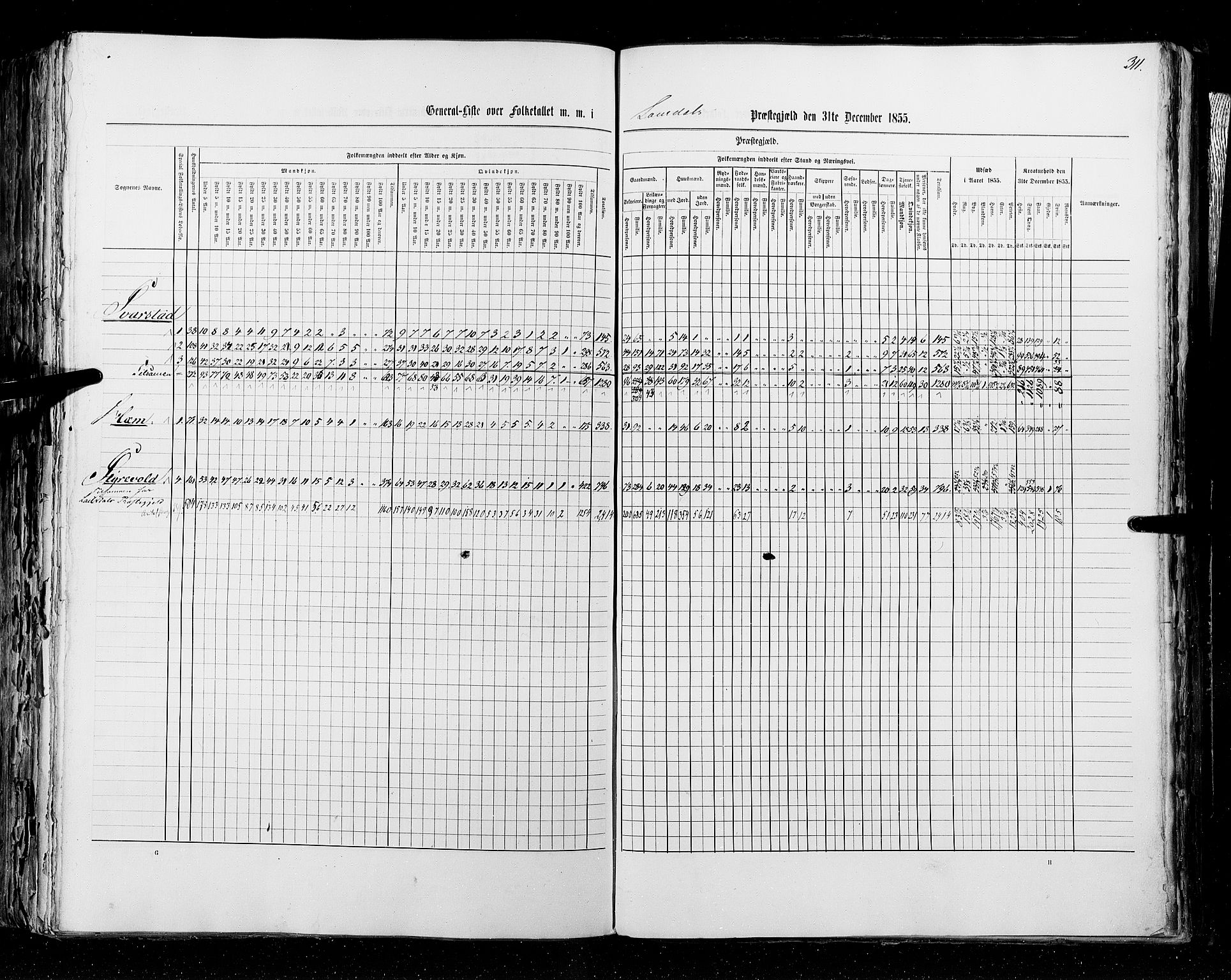 RA, Census 1855, vol. 2: Kristians amt, Buskerud amt og Jarlsberg og Larvik amt, 1855, p. 311