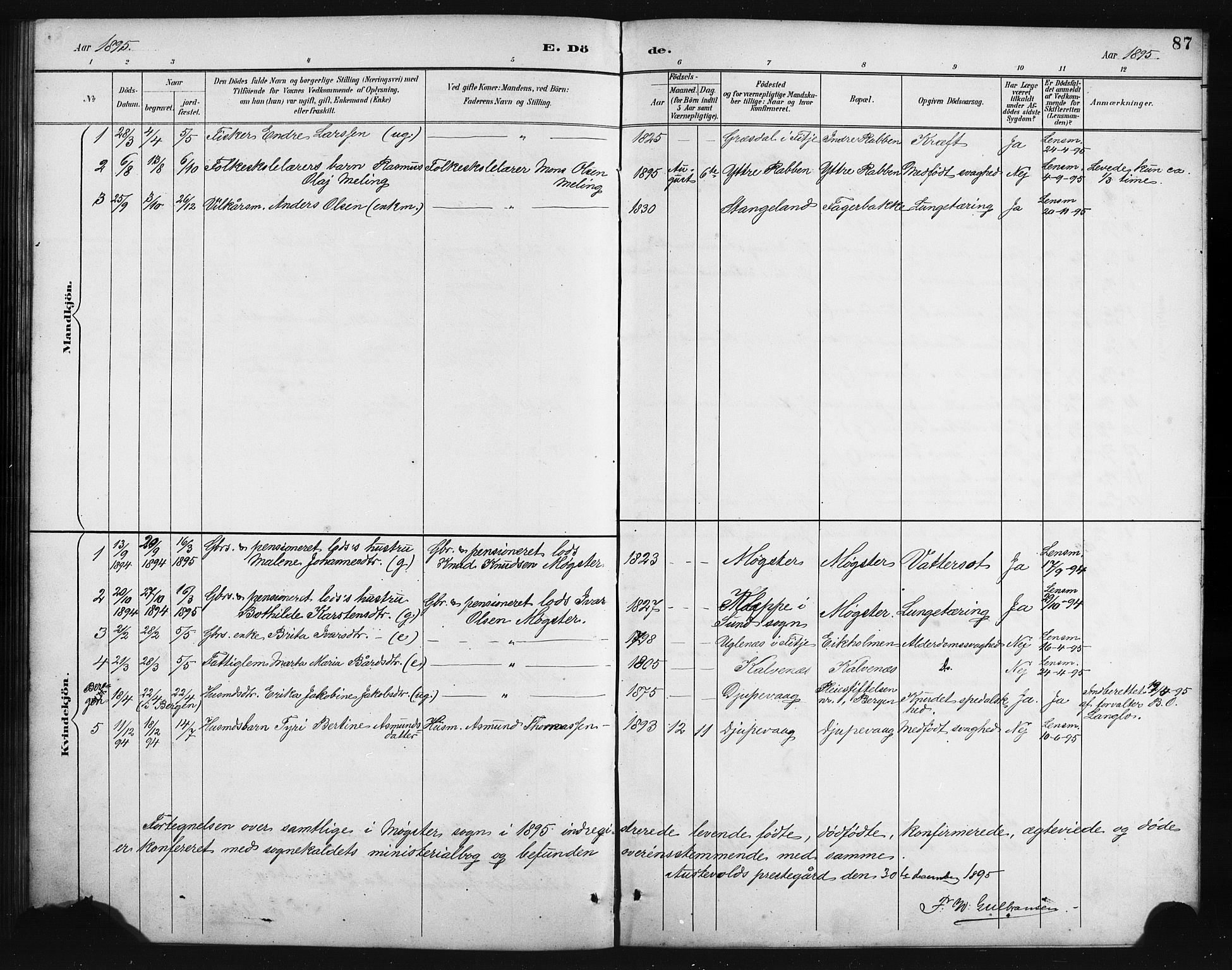Austevoll Sokneprestembete, SAB/A-74201/H/Hab: Parish register (copy) no. B 4, 1889-1901, p. 87