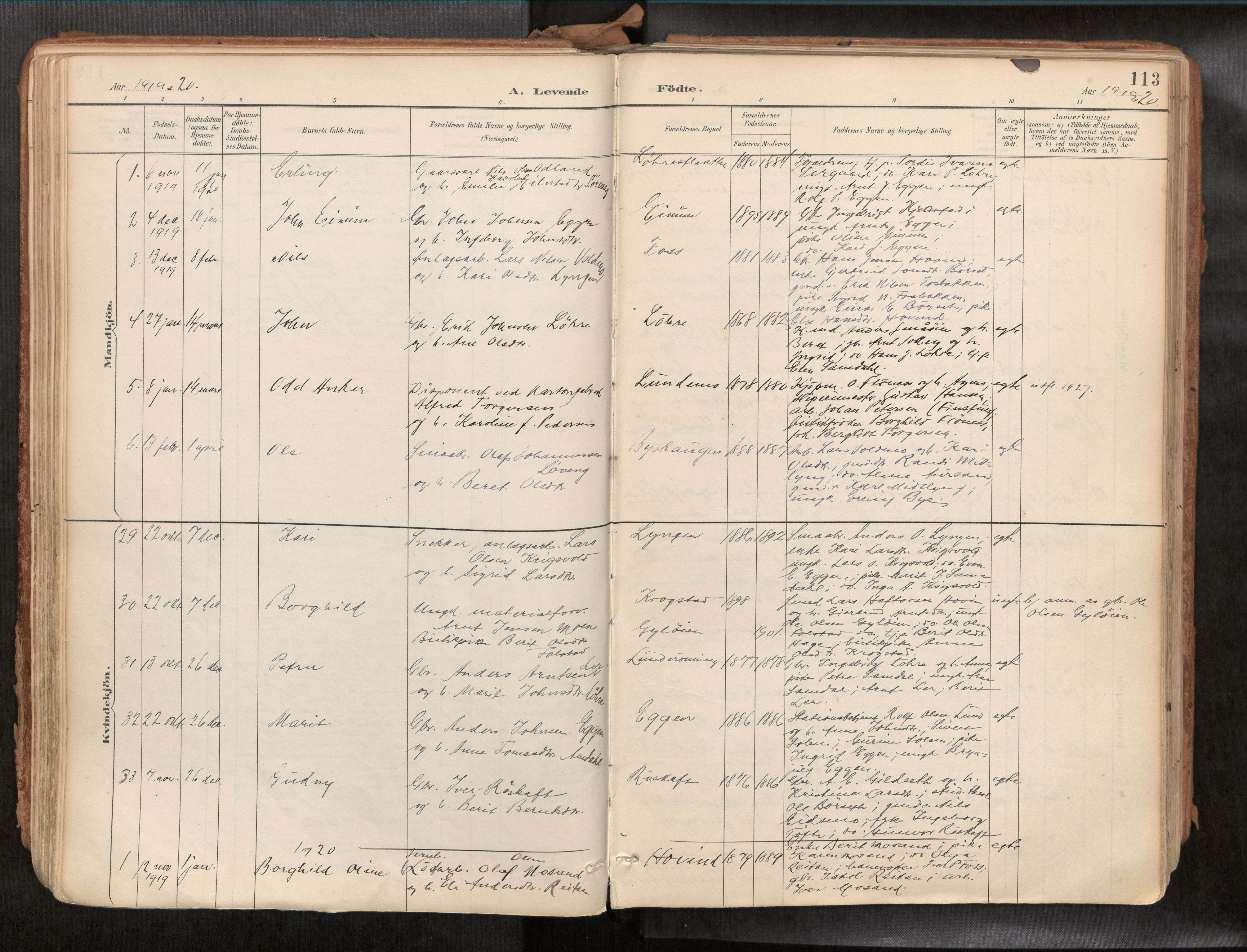 Ministerialprotokoller, klokkerbøker og fødselsregistre - Sør-Trøndelag, SAT/A-1456/692/L1105b: Parish register (official) no. 692A06, 1891-1934, p. 113
