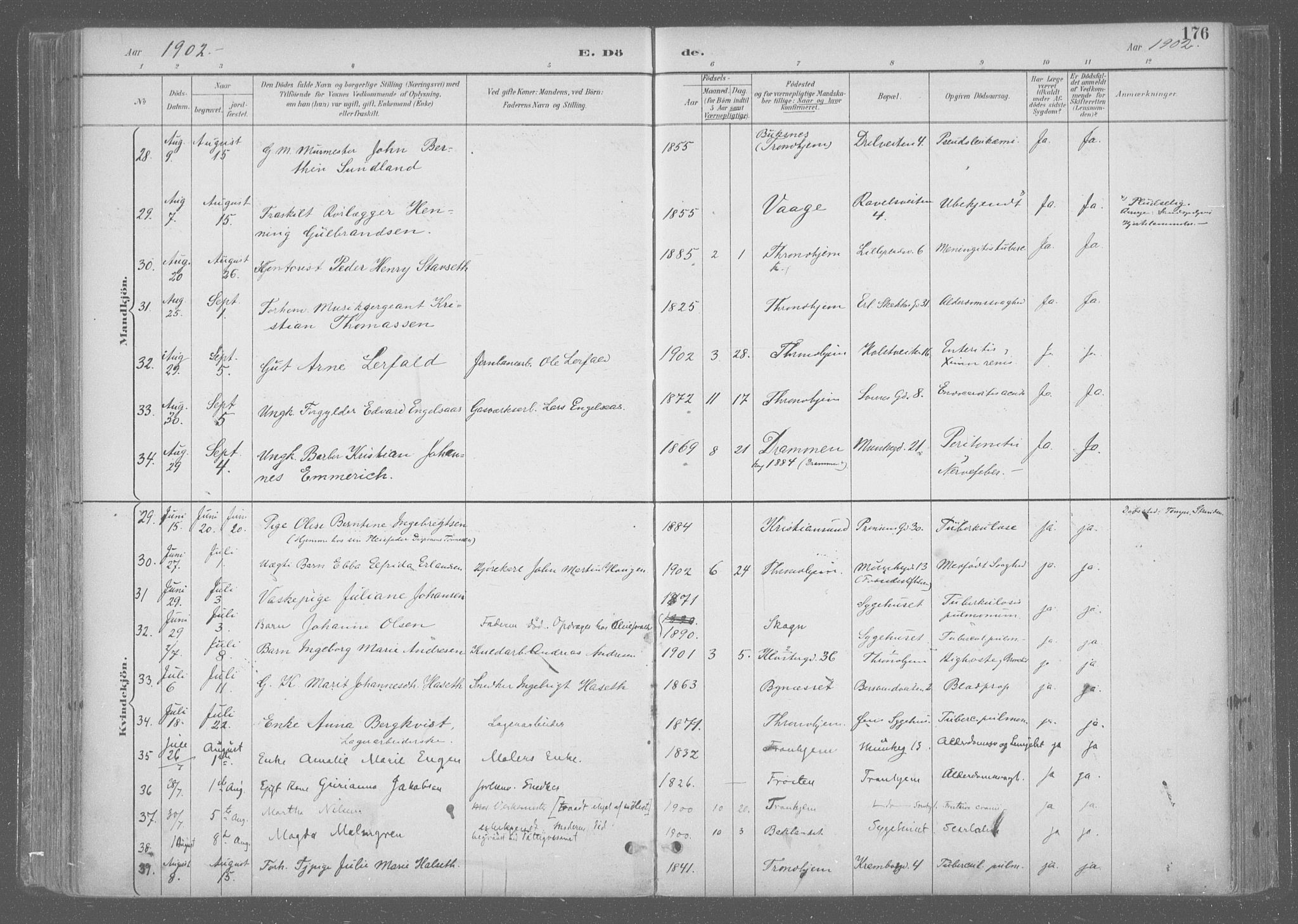 Ministerialprotokoller, klokkerbøker og fødselsregistre - Sør-Trøndelag, SAT/A-1456/601/L0064: Parish register (official) no. 601A31, 1891-1911, p. 176
