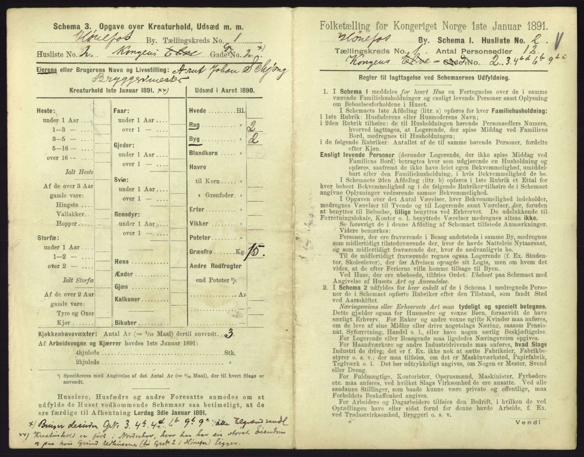 RA, 1891 census for 0601 Hønefoss, 1891, p. 69